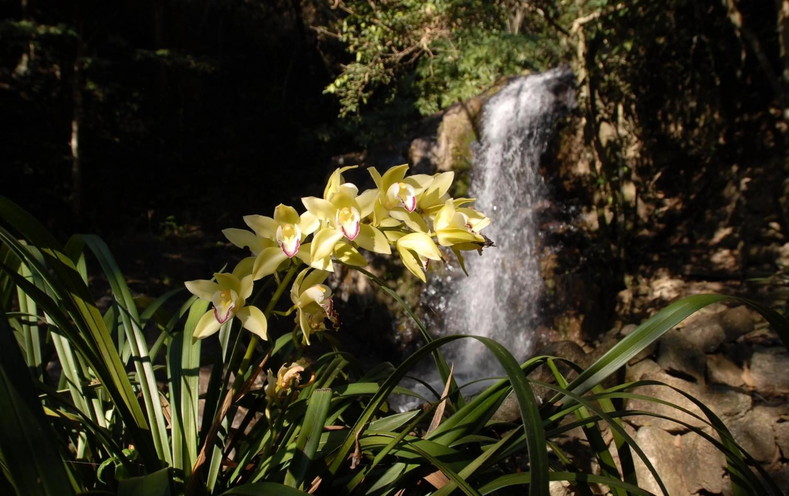 Natural landscape in Lake Vilas Charm Hotel & SPA