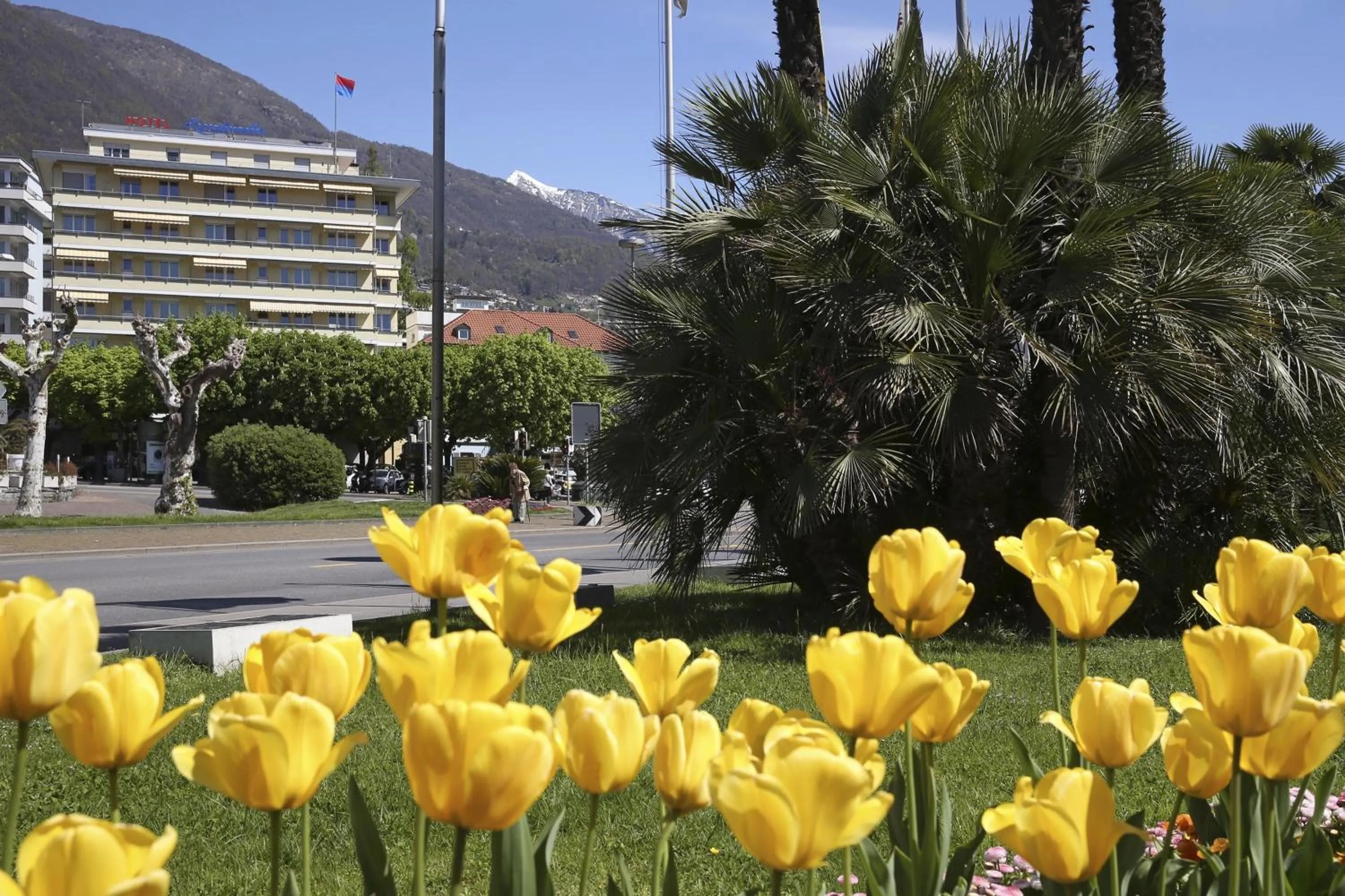 Property building in Hotel Rondinella Locarno