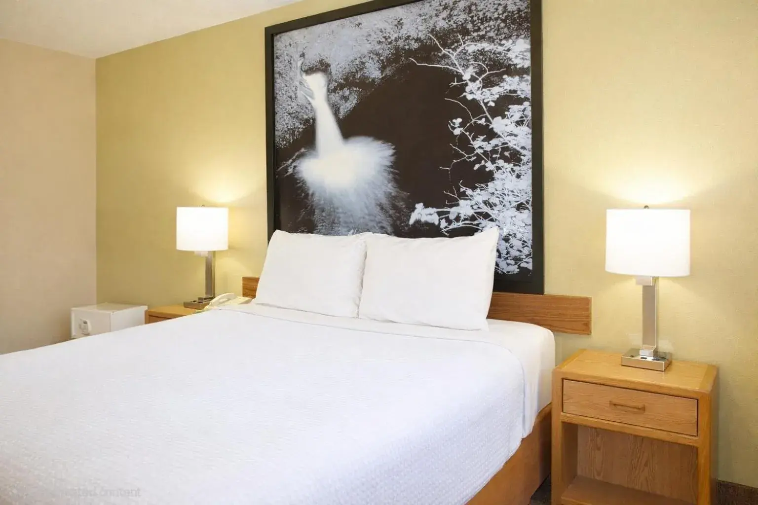 Bedroom, Bed in Super 8 by Wyndham Antigo Bedroom, Bed in Super 8 by Wyndham Antigo