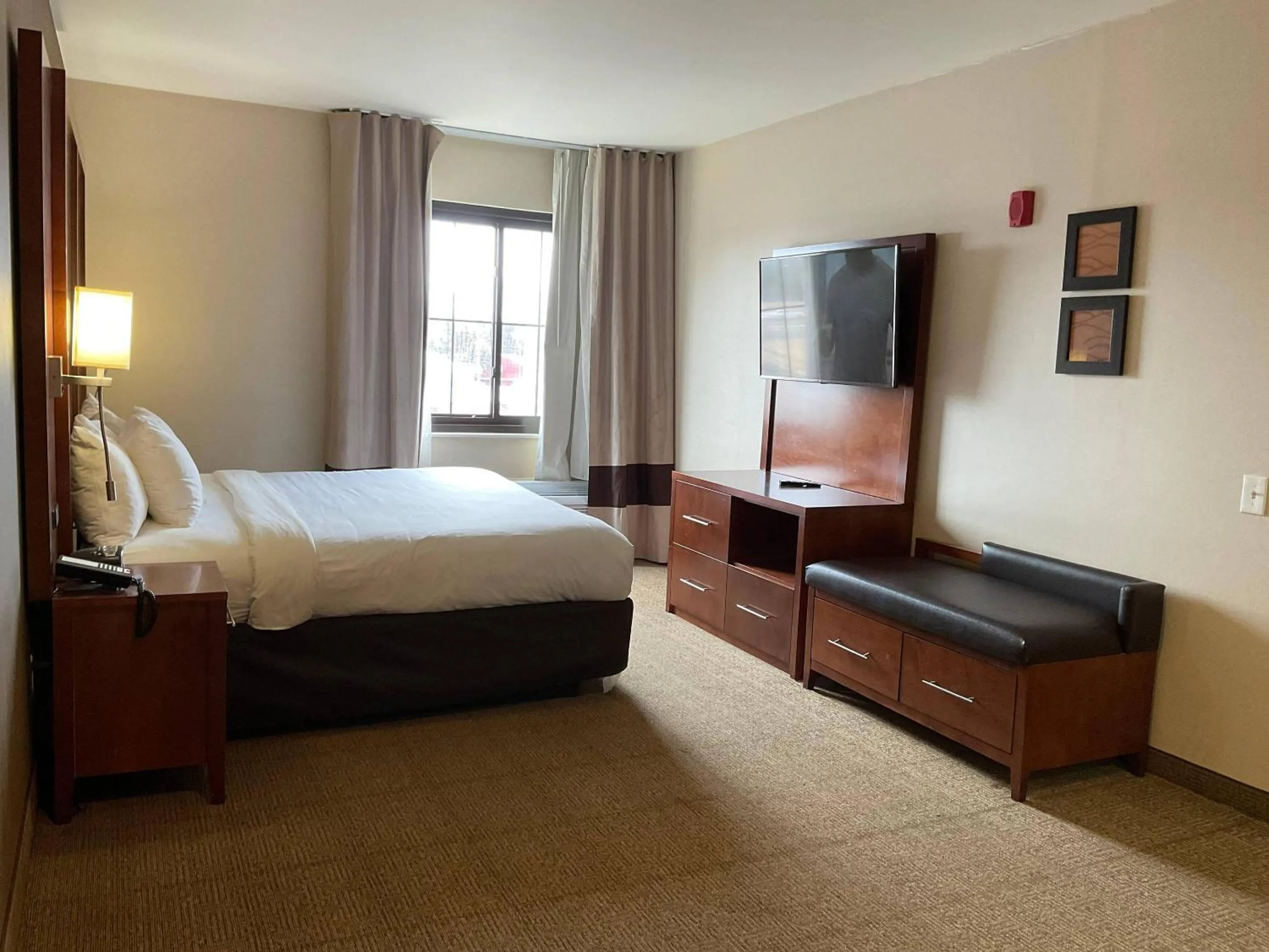 Bedroom, Bed in Comfort Suites Dover University Area