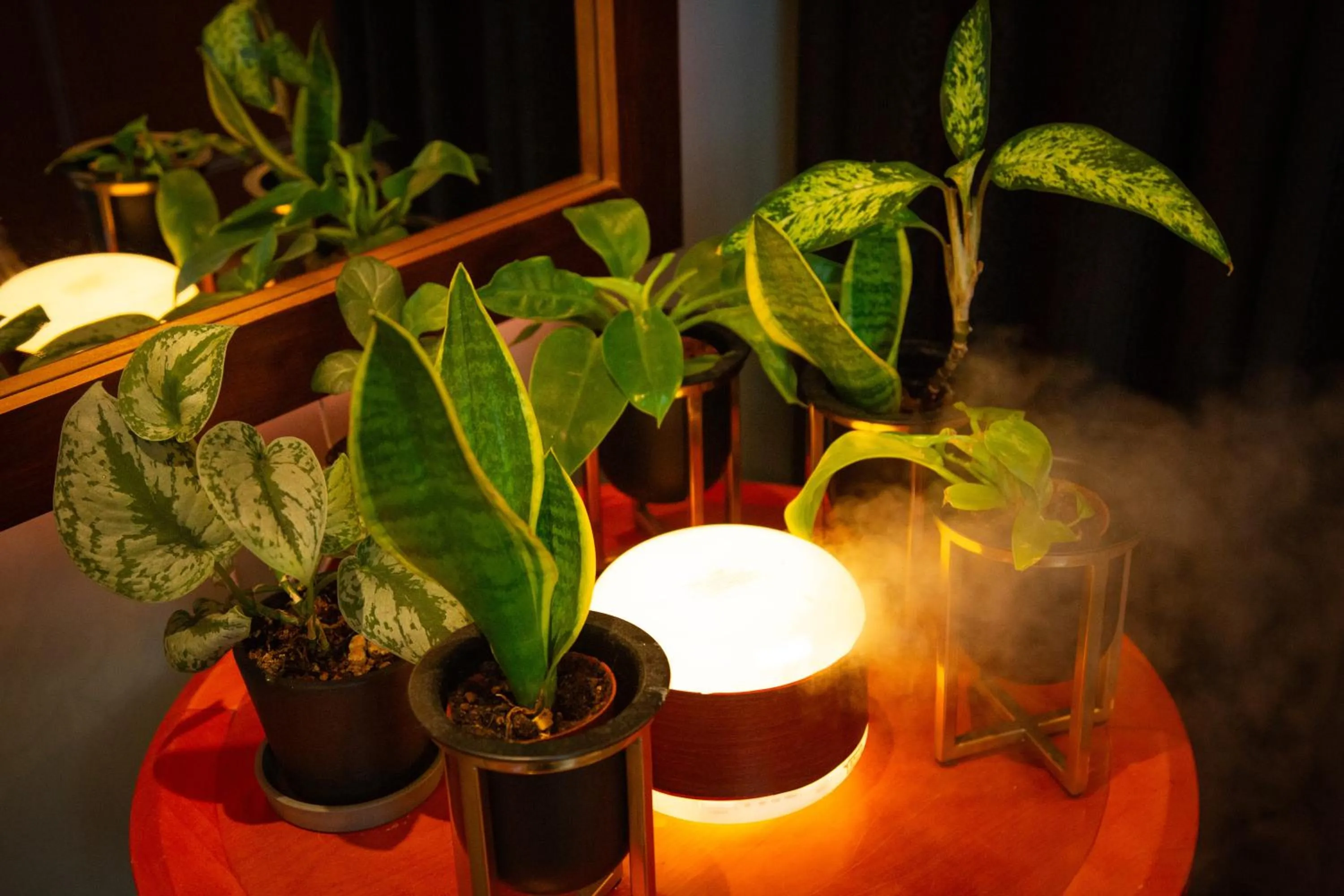 Lobby or reception in Hotel Landmark Umeda