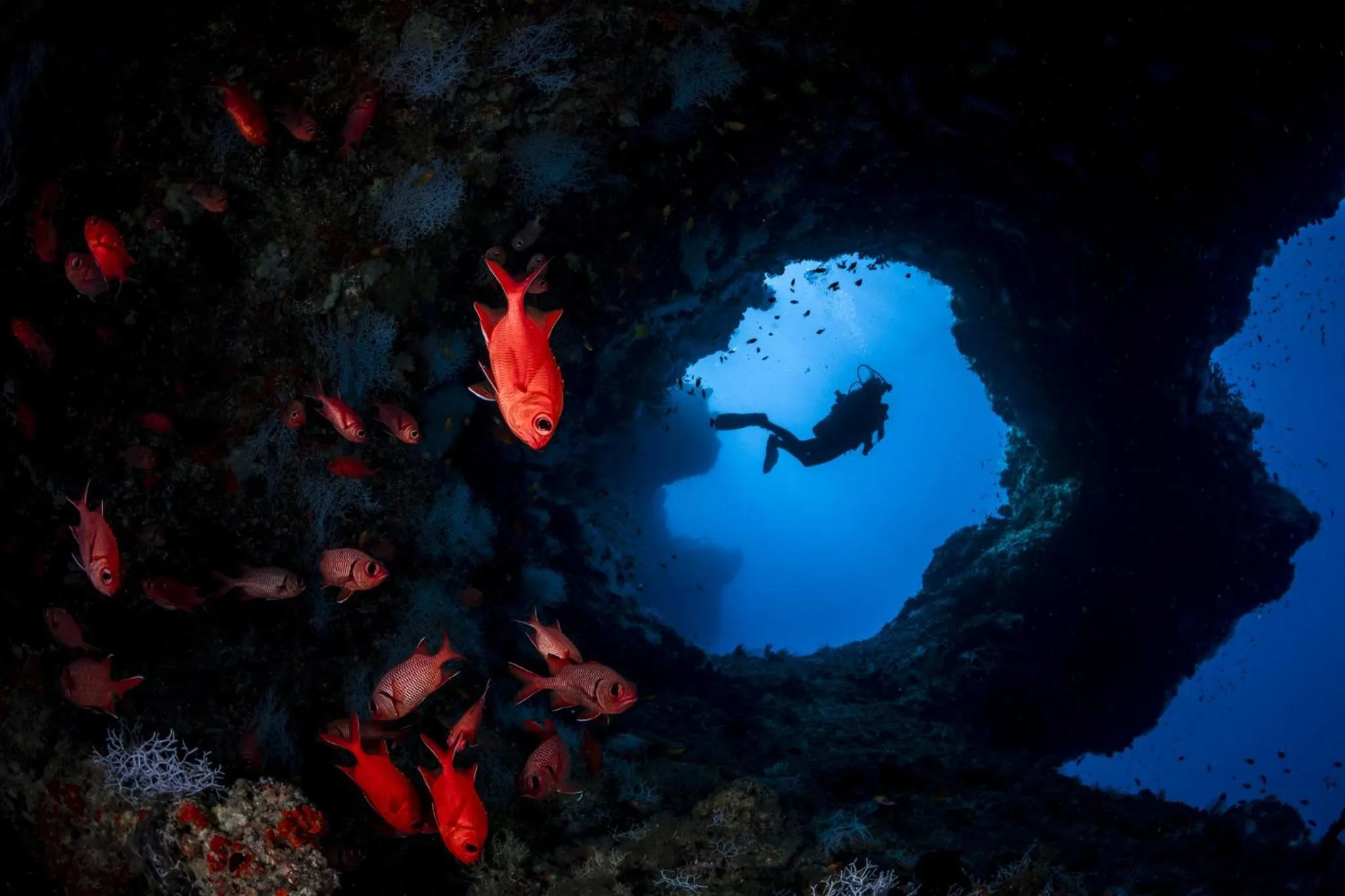 Activities in COMO Cocoa Island