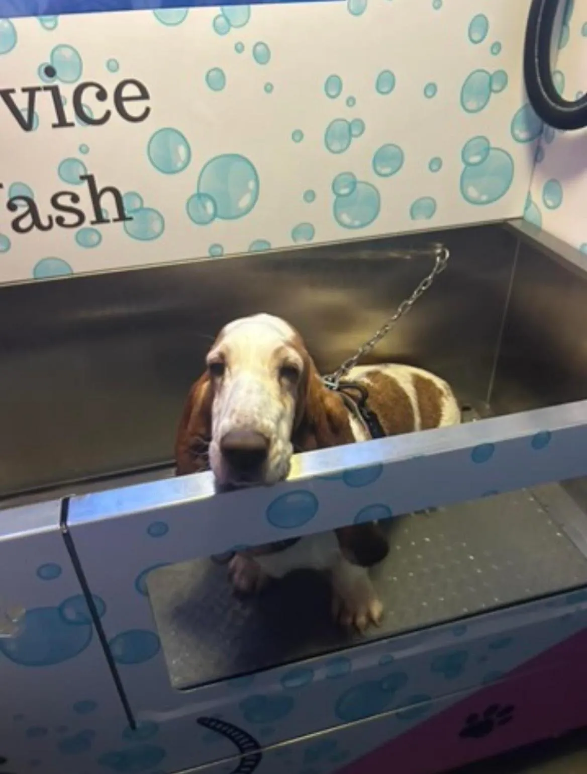 Property building in Forresters Bar & French Restaurant with Rooms