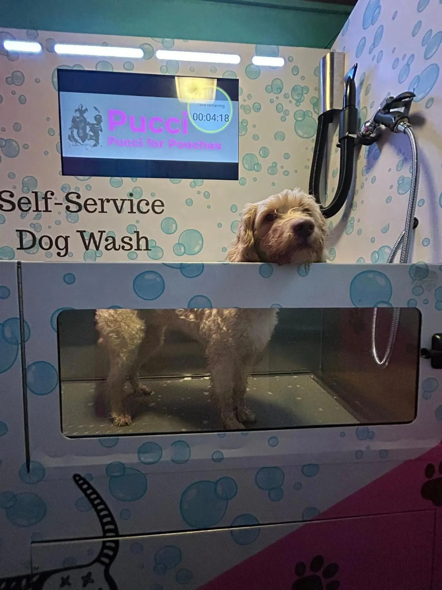 Property building in Forresters Bar & French Restaurant with Rooms