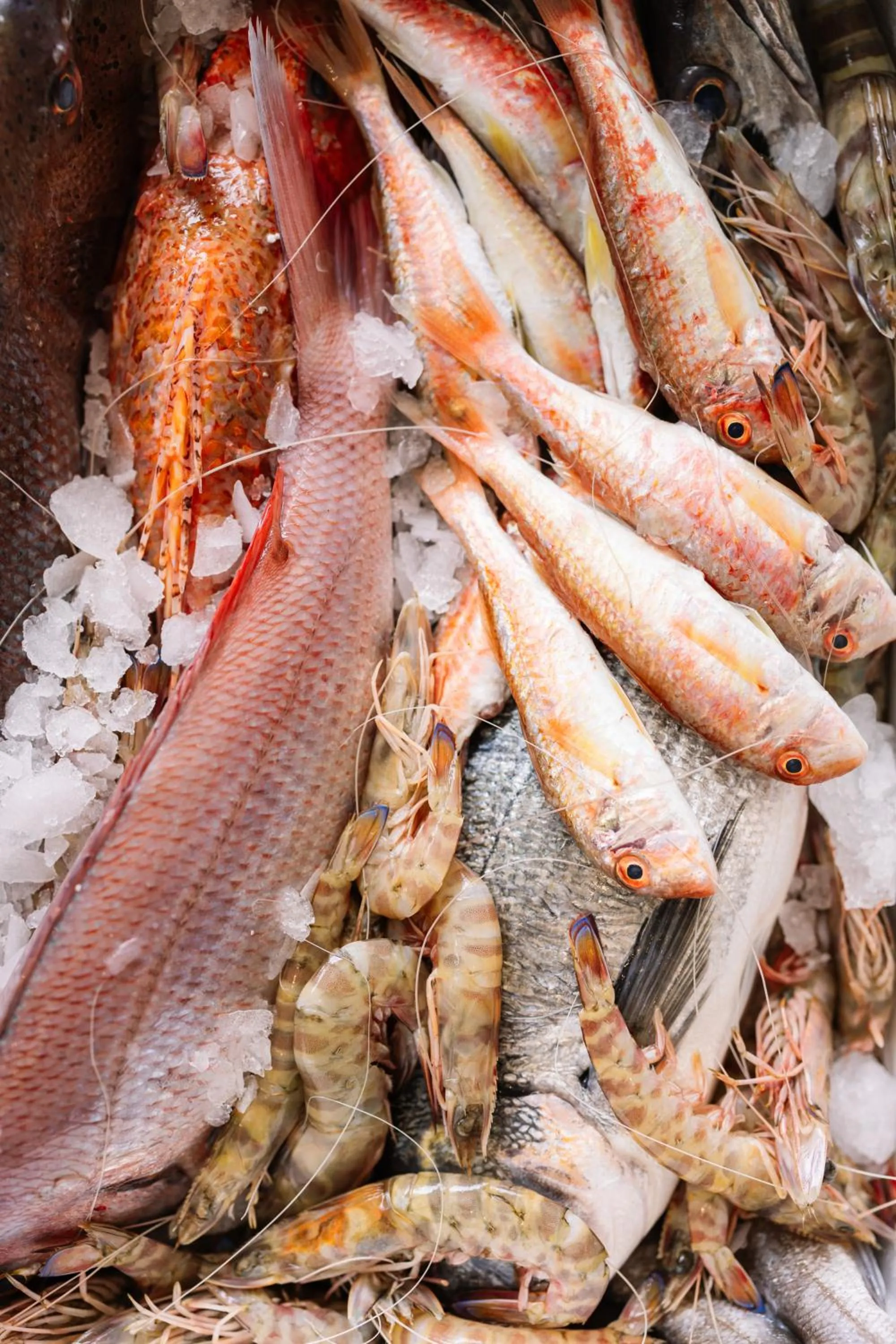 Restaurant/places to eat in Georgalas Sun Beach Resort