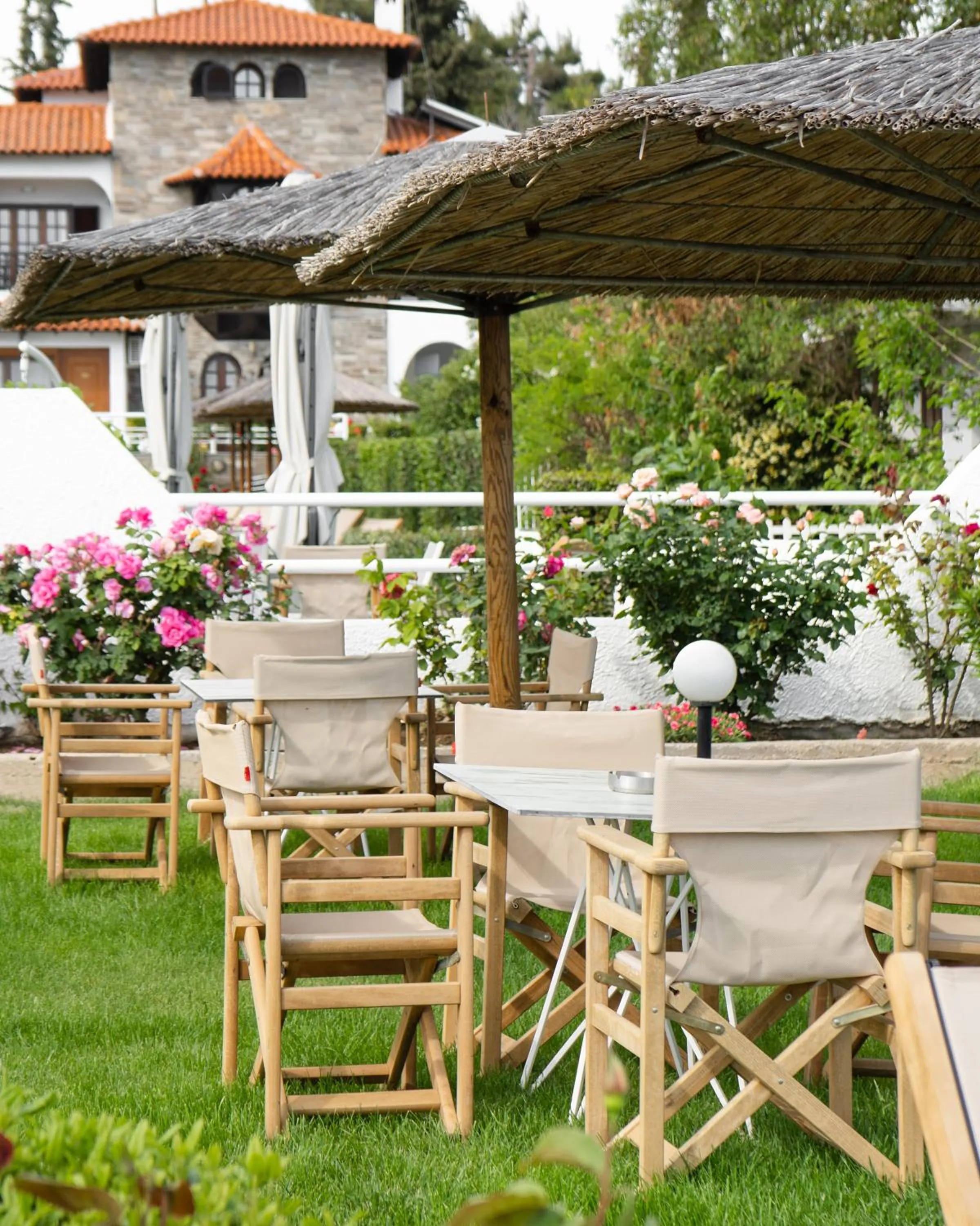 Garden in Georgalas Sun Beach Resort