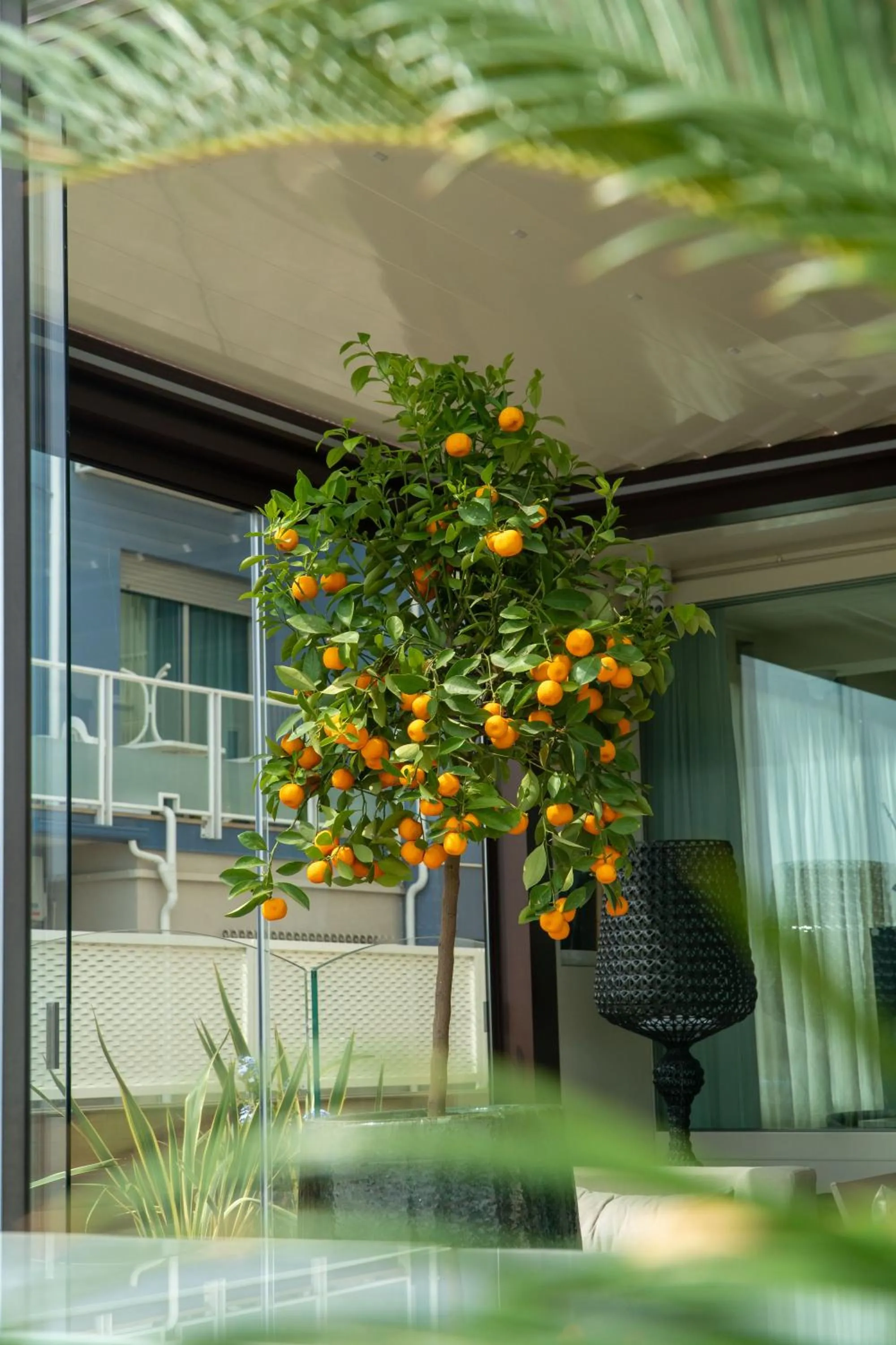 Lobby or reception in Hotel Orchidea