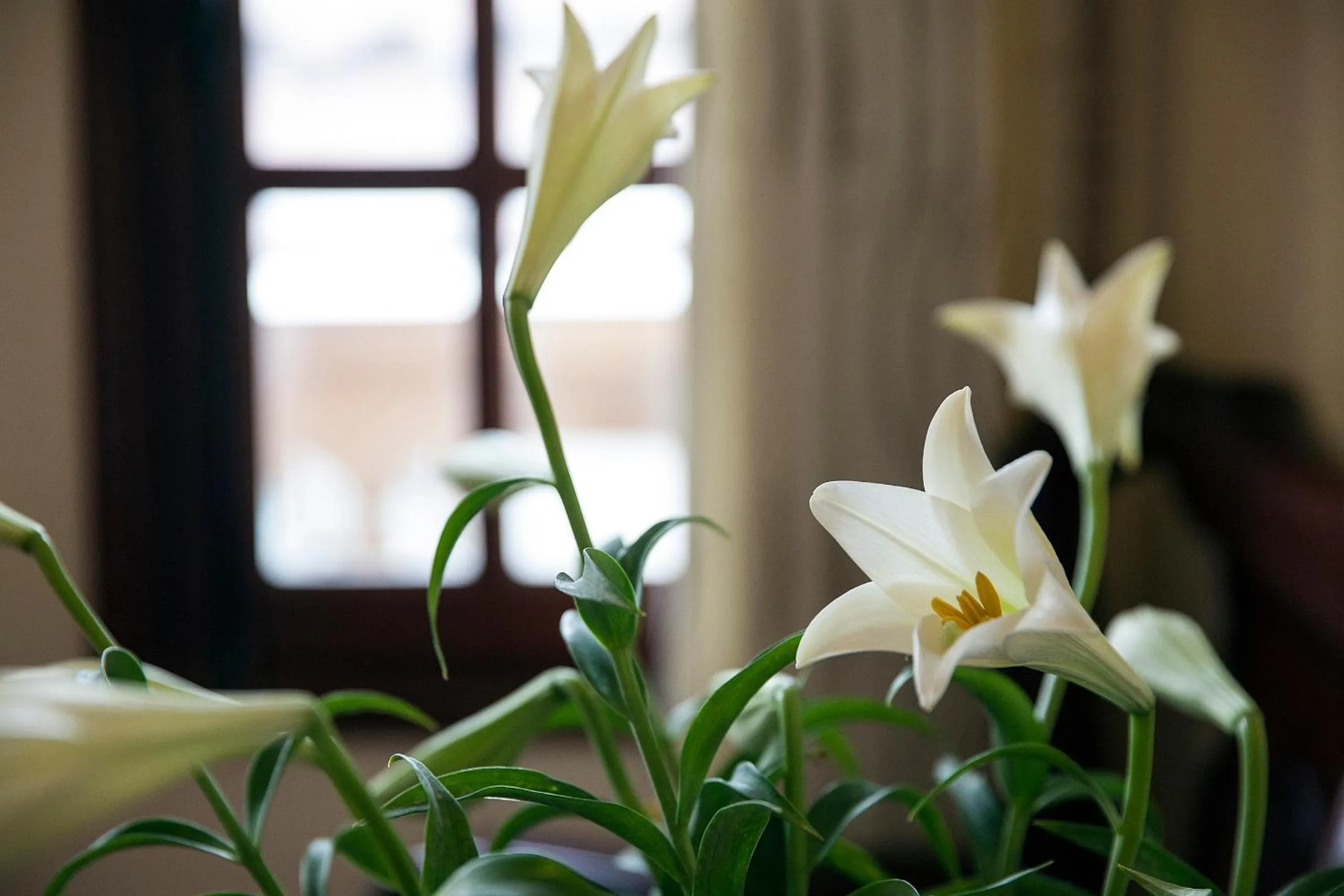 BBQ facilities in Lucky 3 Hotel & Travel