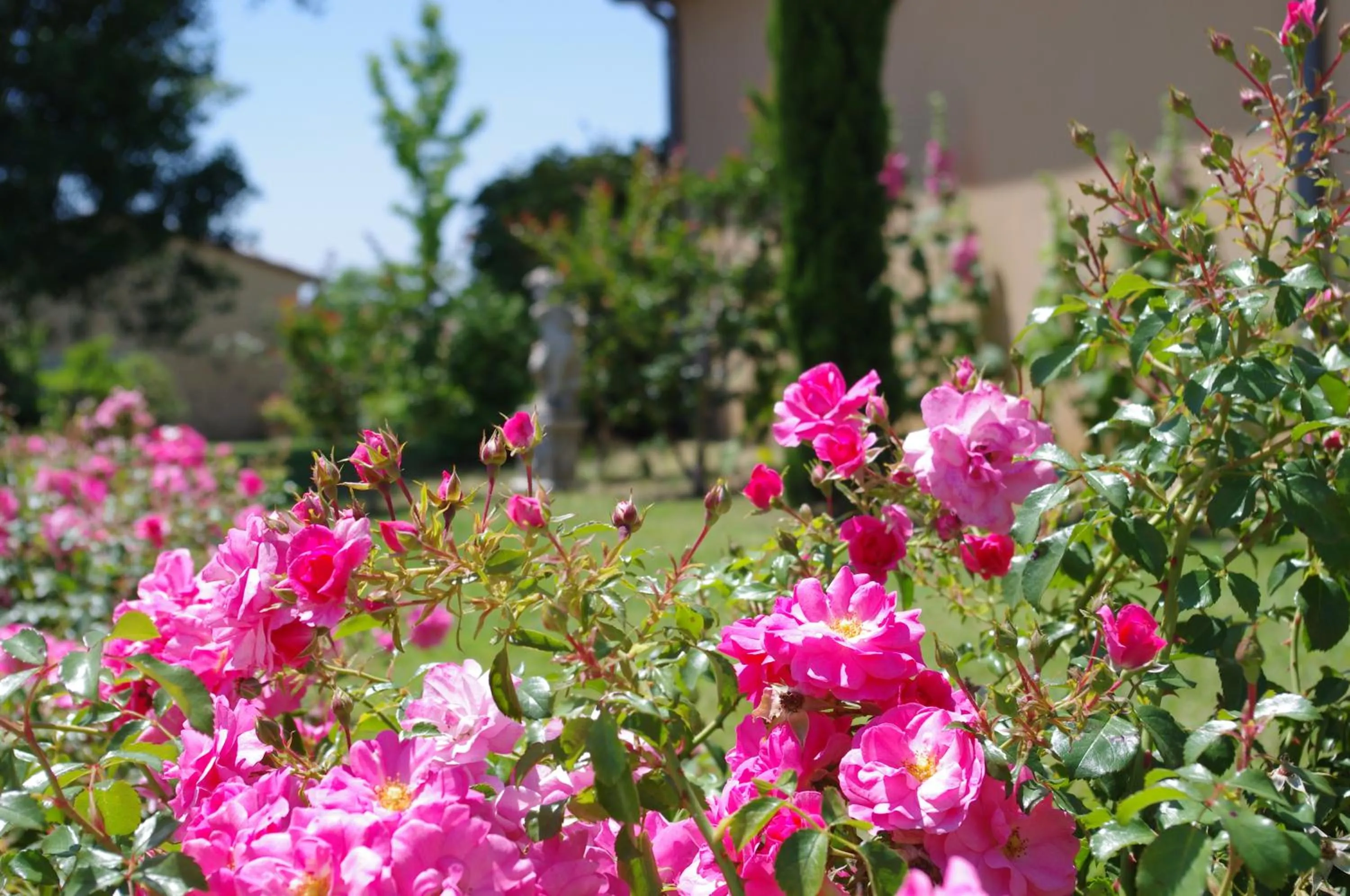 Garden in Hôtel La Bastide d'Iris