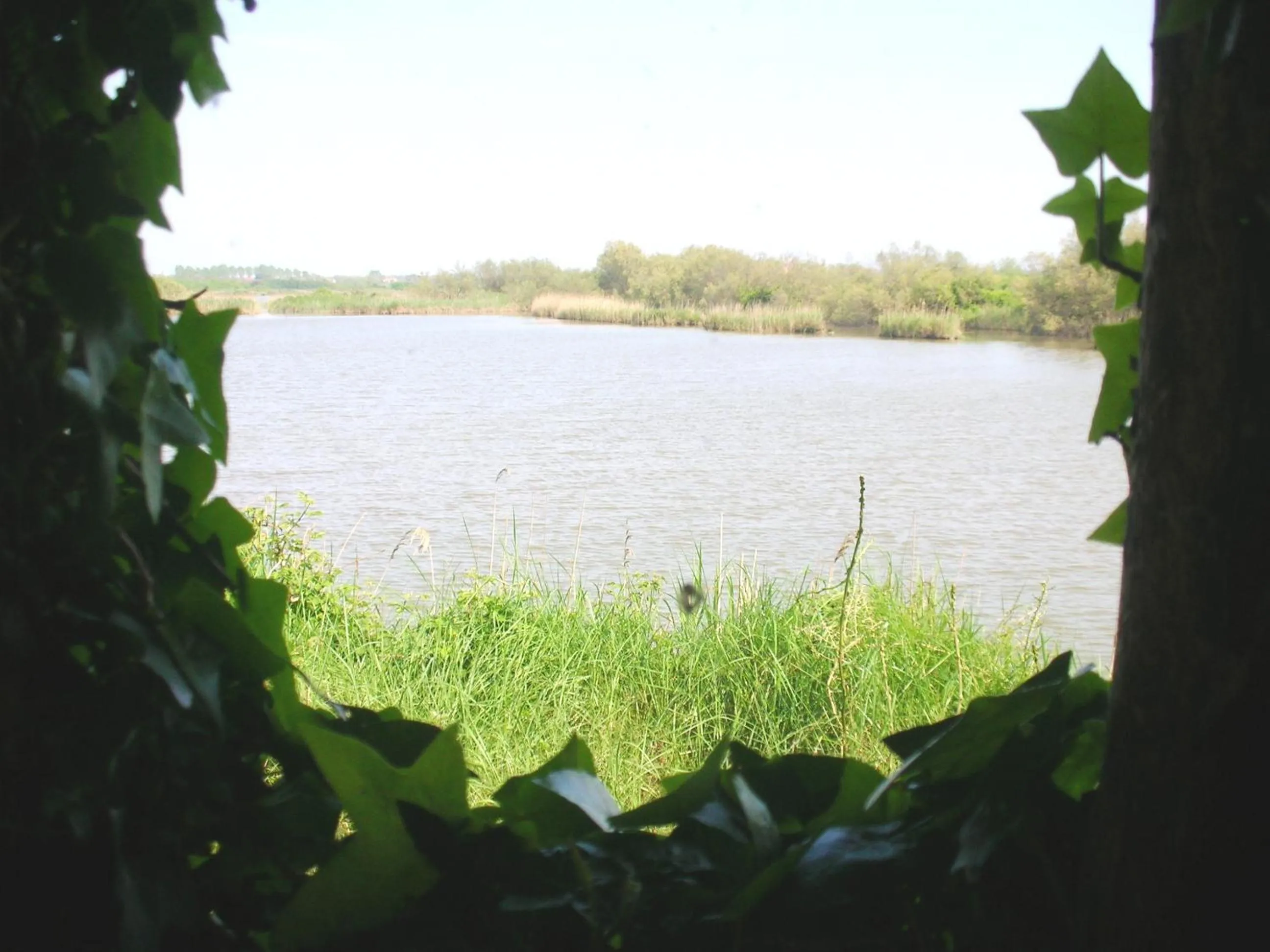 Hiking in Hotel Rurale Canneviè
