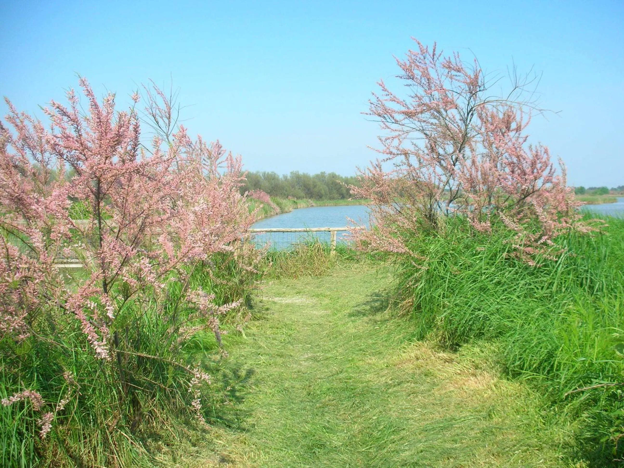 Natural landscape in Hotel Rurale Canneviè
