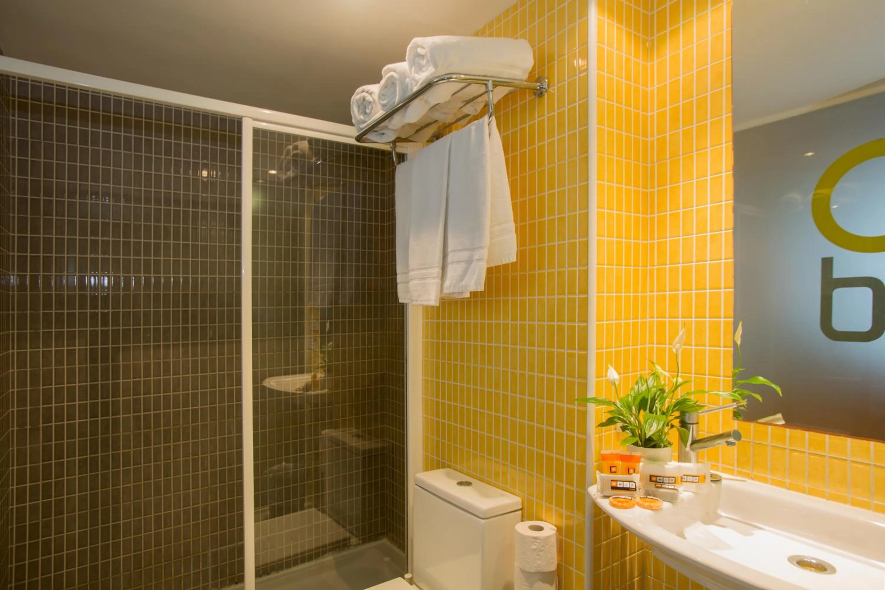 Bathroom in Apartamentos Turísticos Mix BR AT2179