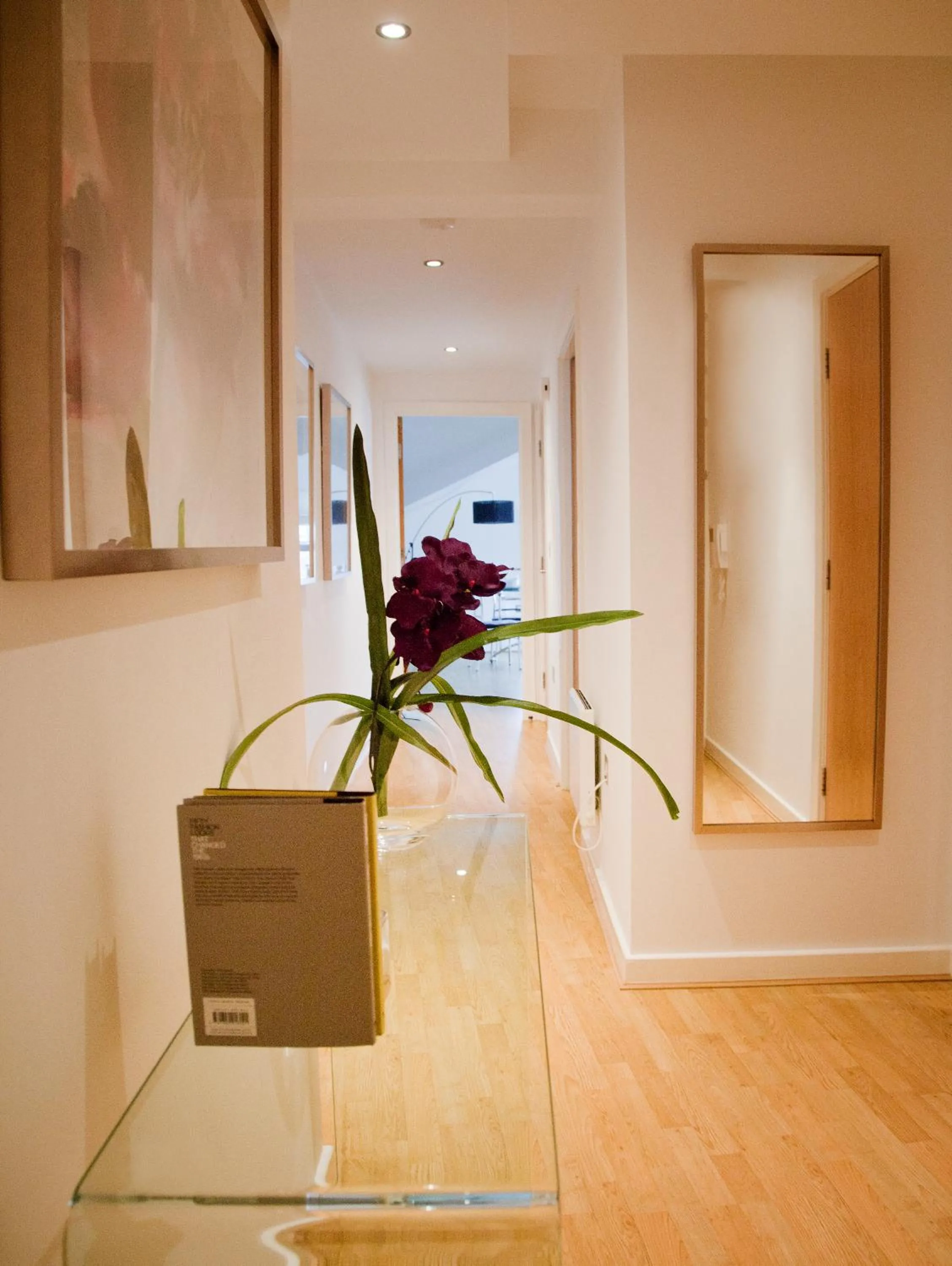 Area and facilities in Regent House deluxe 2 bedroom apartment