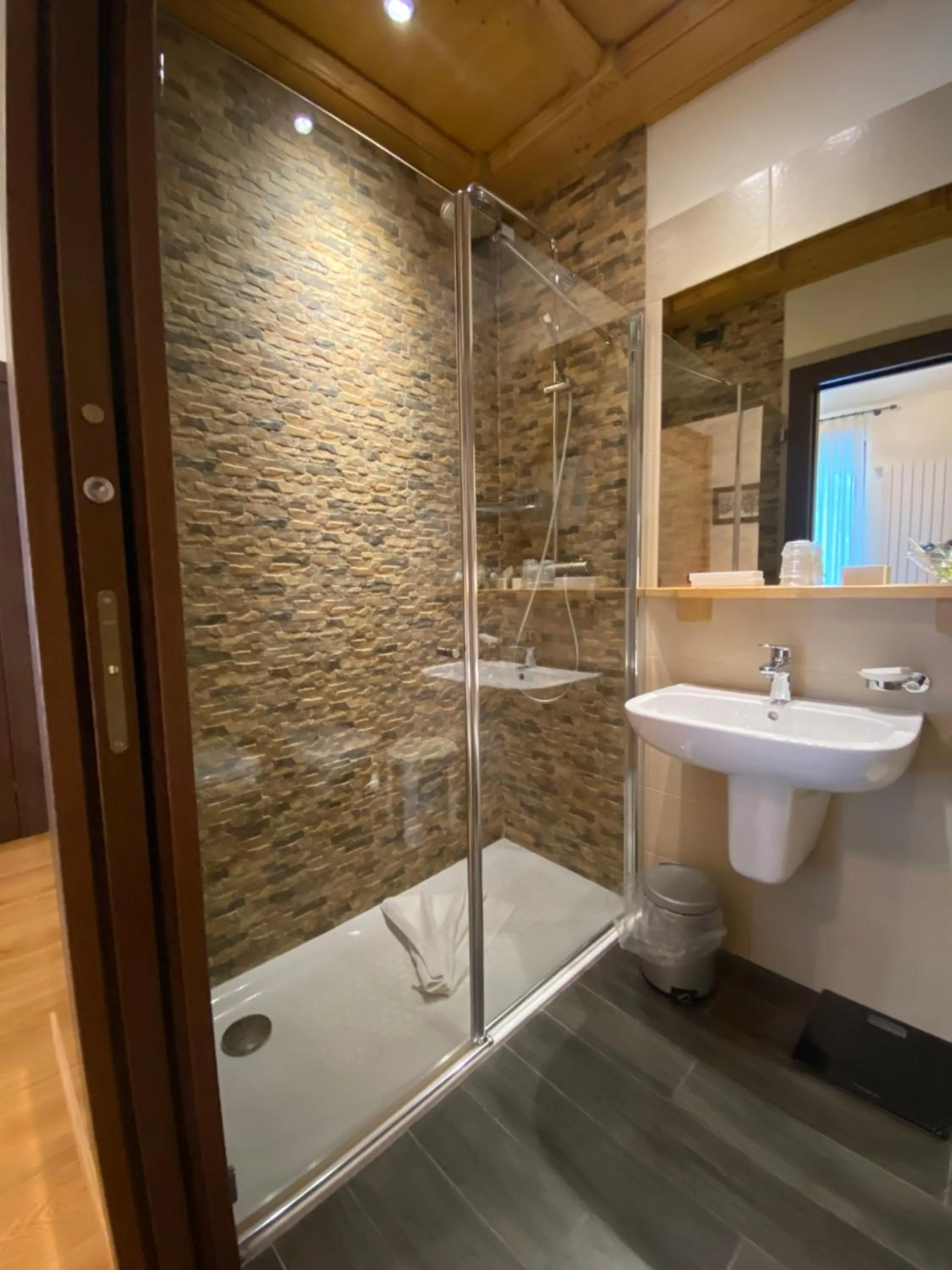 Shower, Bathroom in Albergo Rutzer