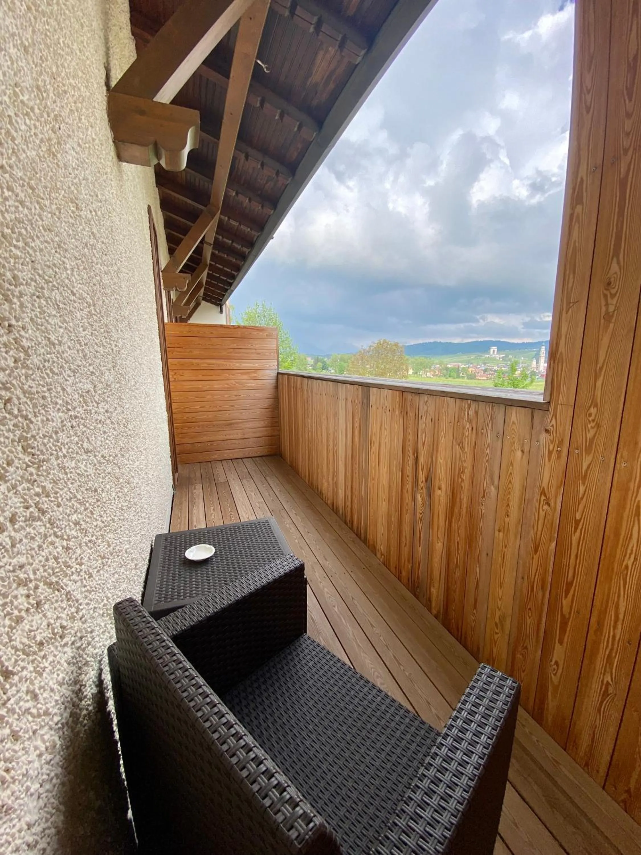 View (from property/room) in Albergo Rutzer