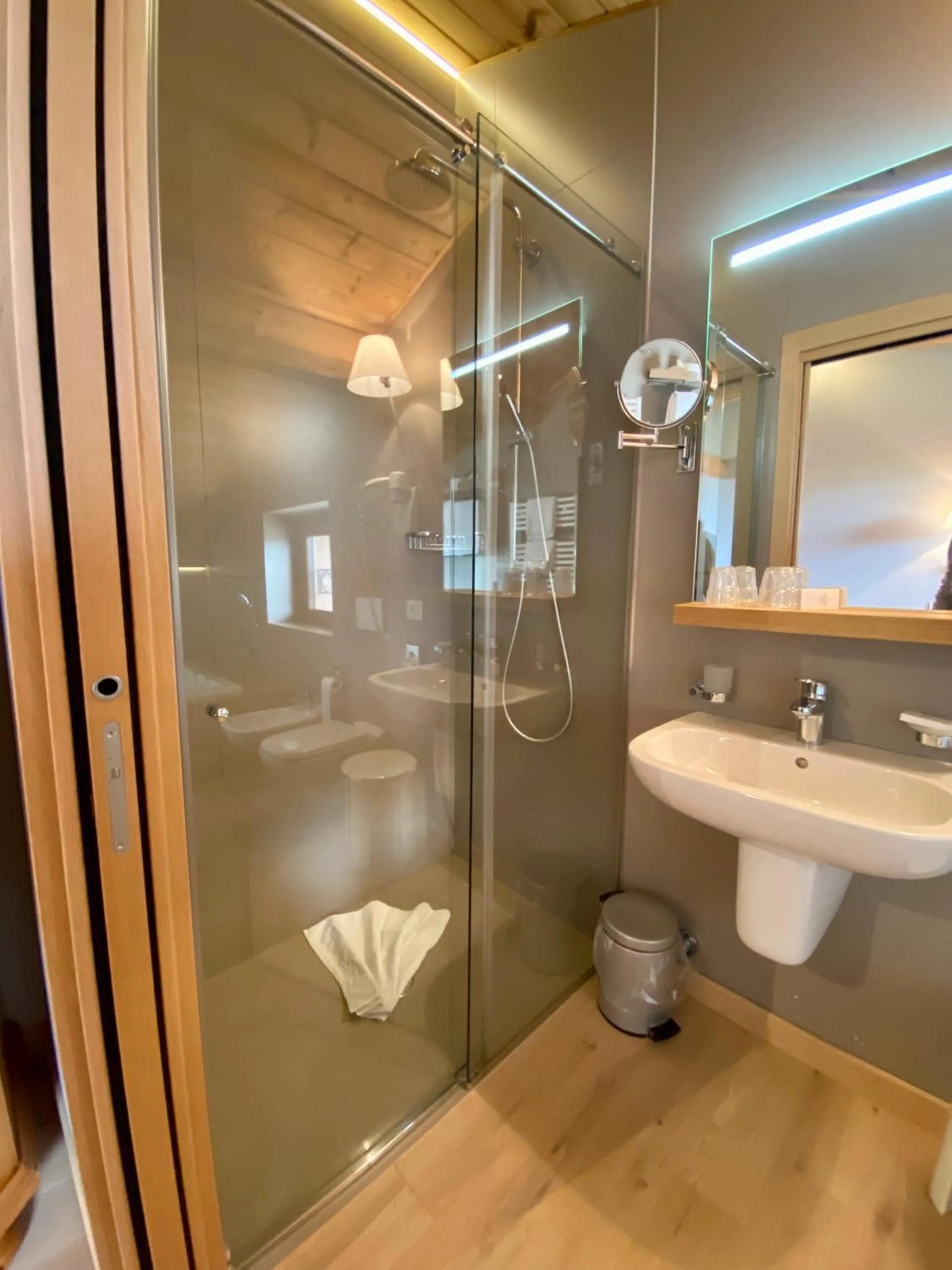 Shower, Bathroom in Albergo Rutzer