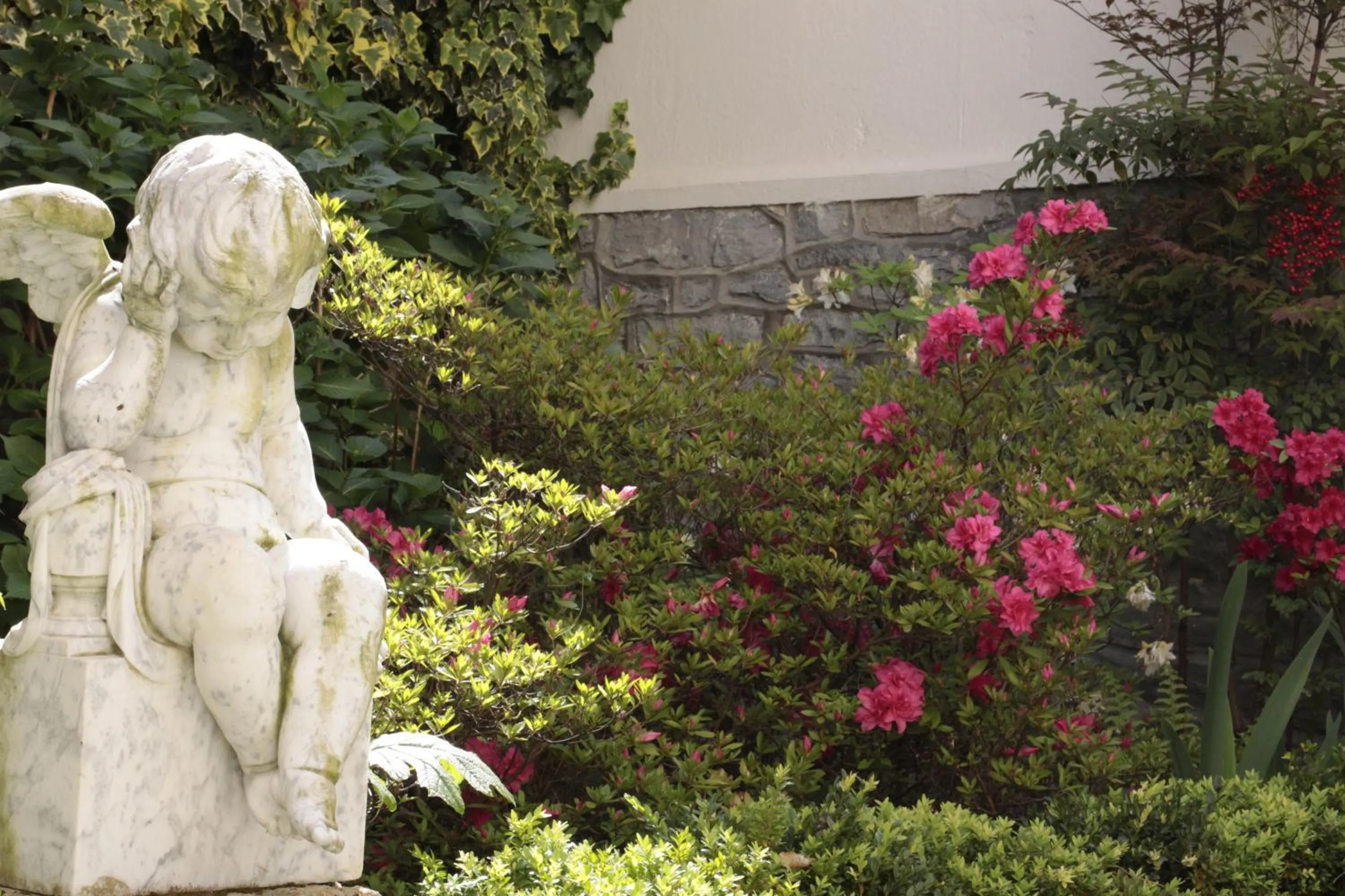 Garden in Hôtel Maïtagaria