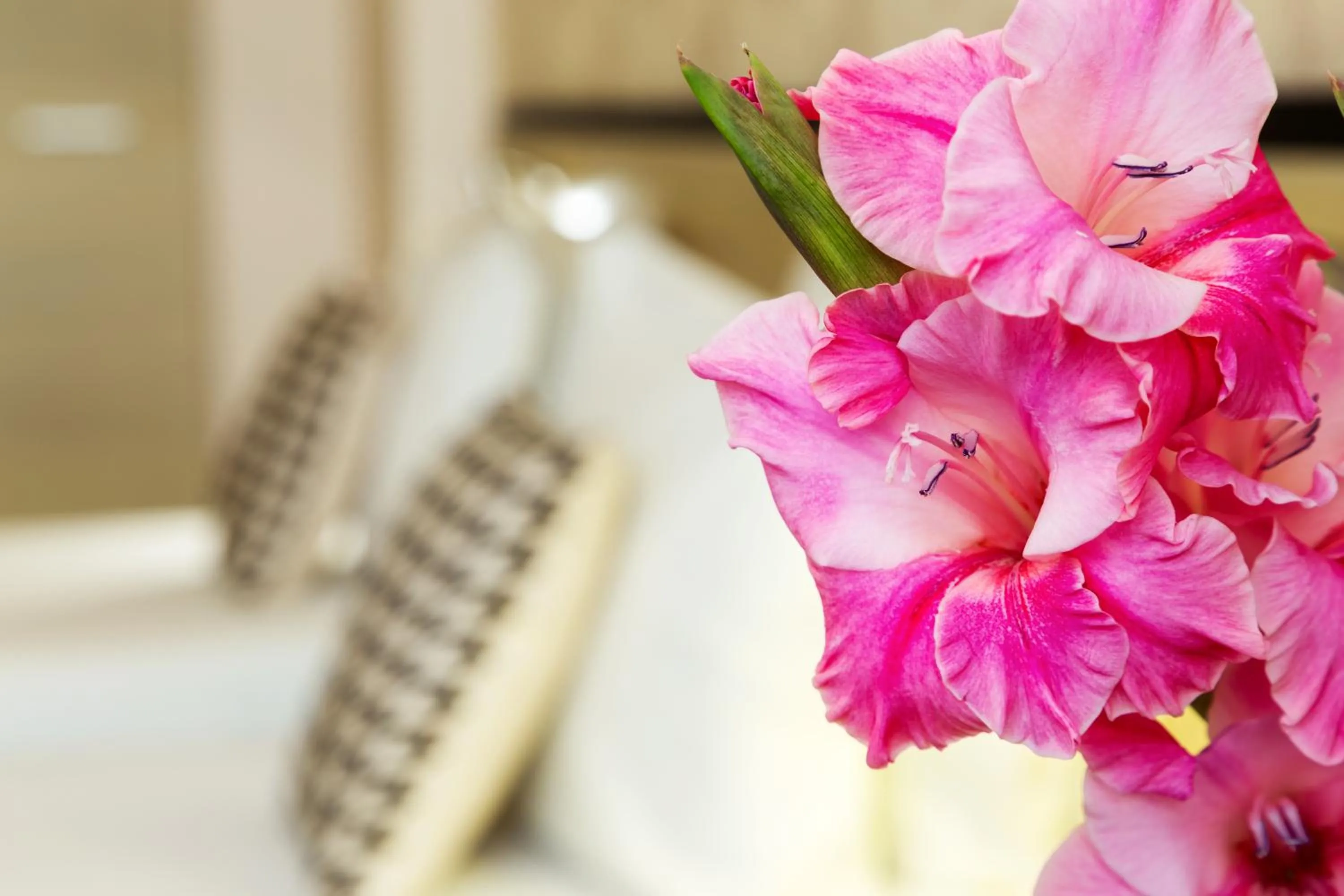 Bed in City Avenue Hotel