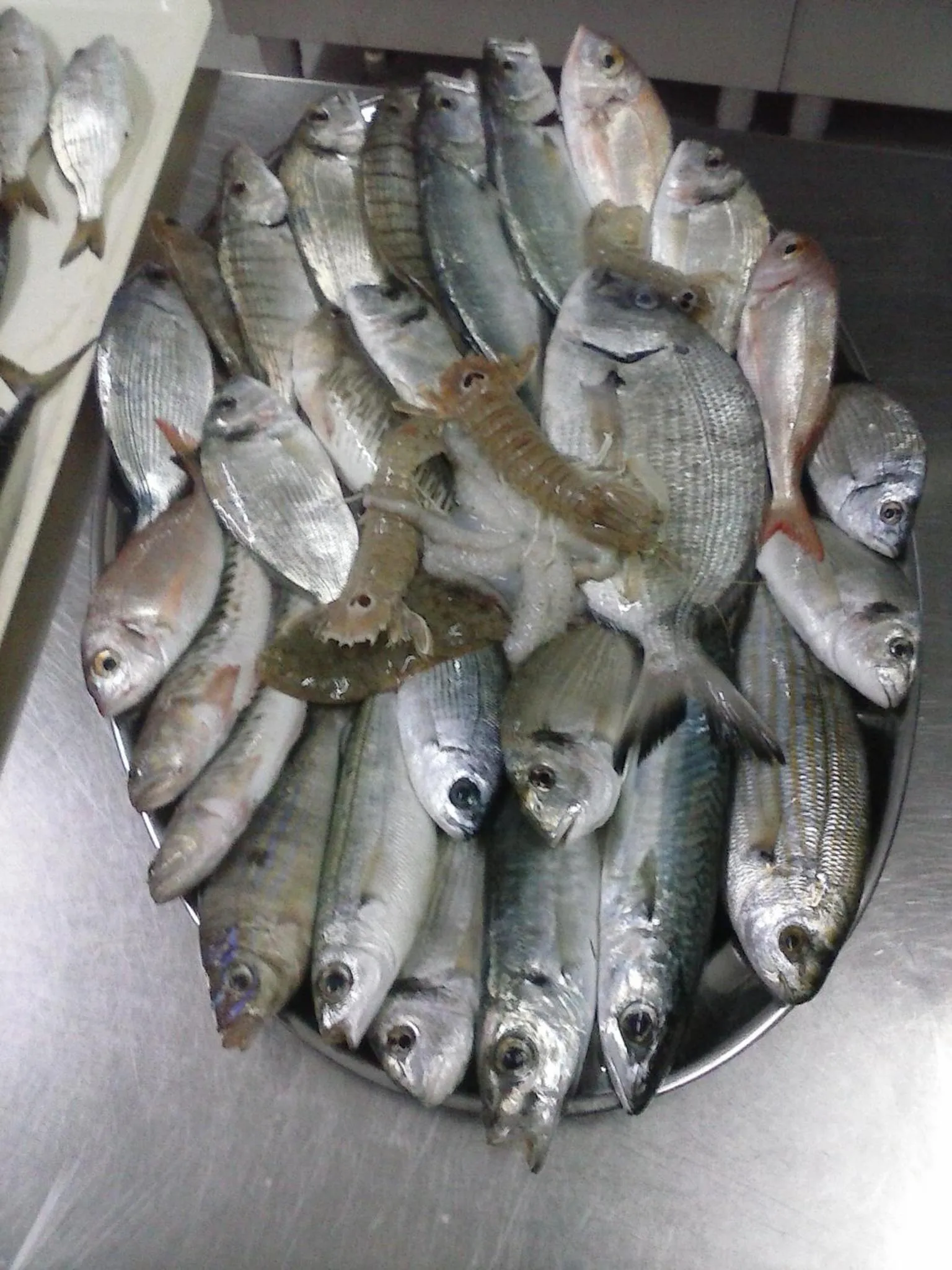 Food close-up in Hotel Piccolo Paradiso