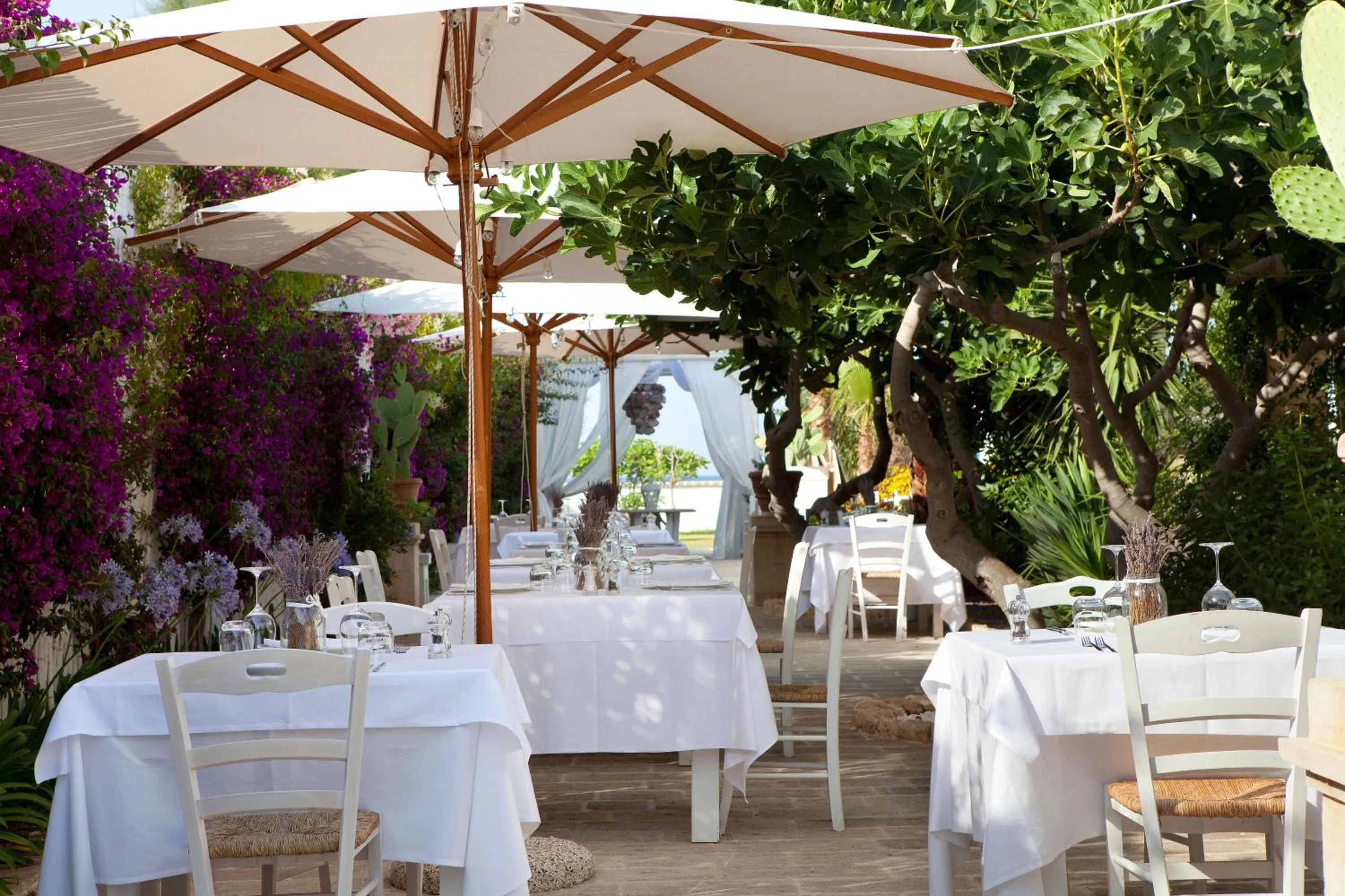 Restaurant/places to eat in Canne Bianche Lifestyle Hotel