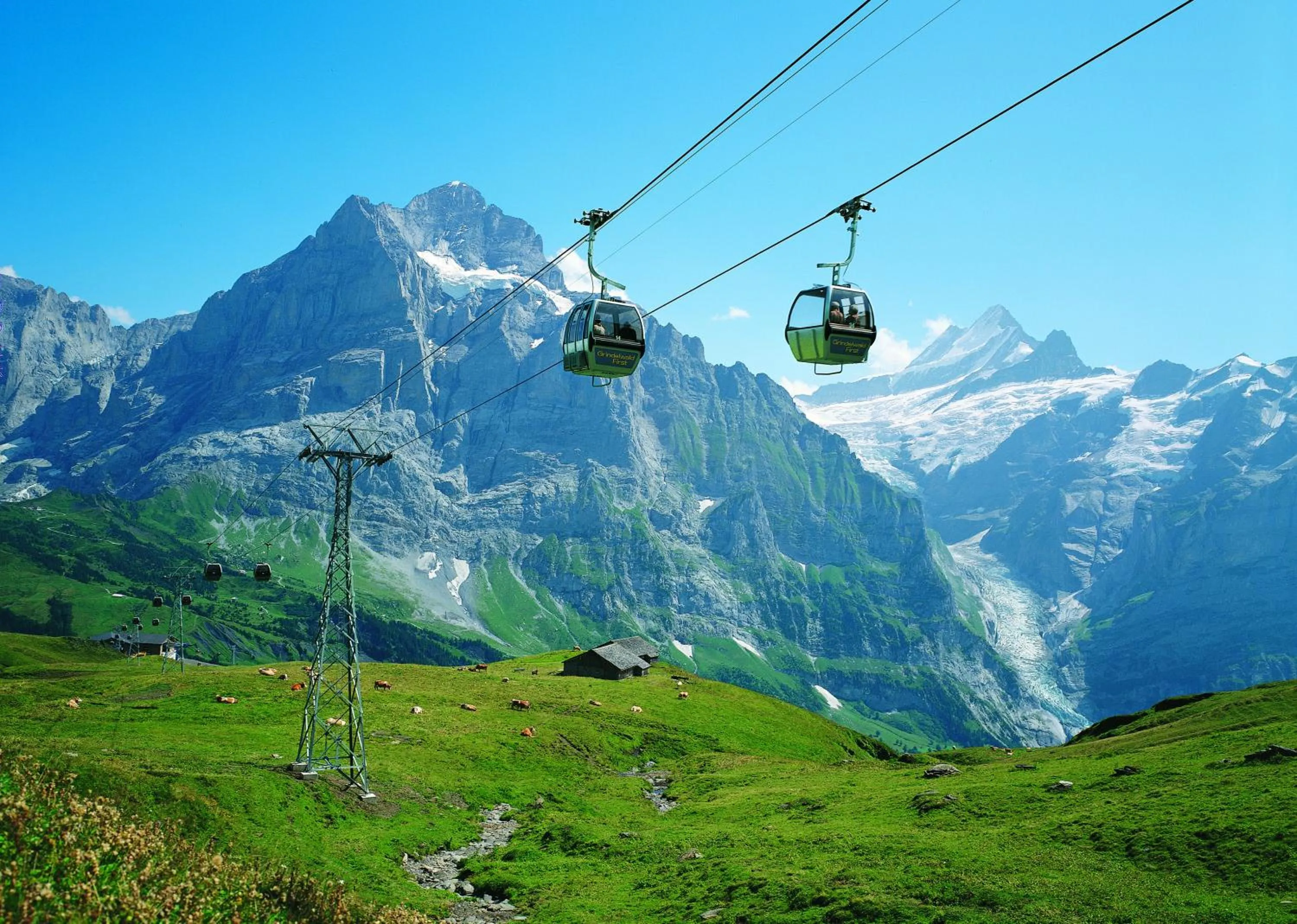 Day in Berggasthaus First - Only Accessible by Cable Car