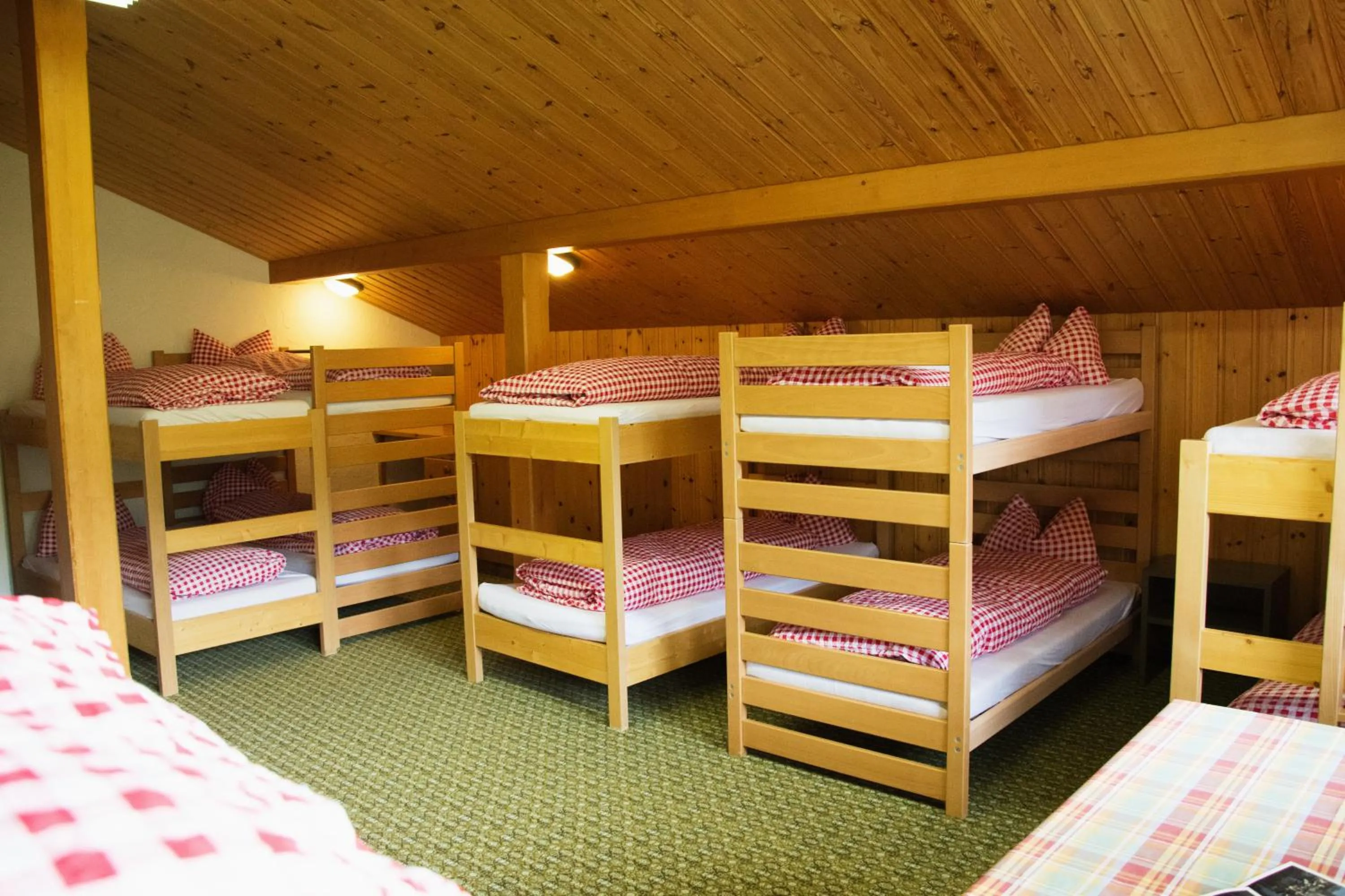 Photo of the whole room, Bed in Berggasthaus First - Only Accessible by Cable Car
