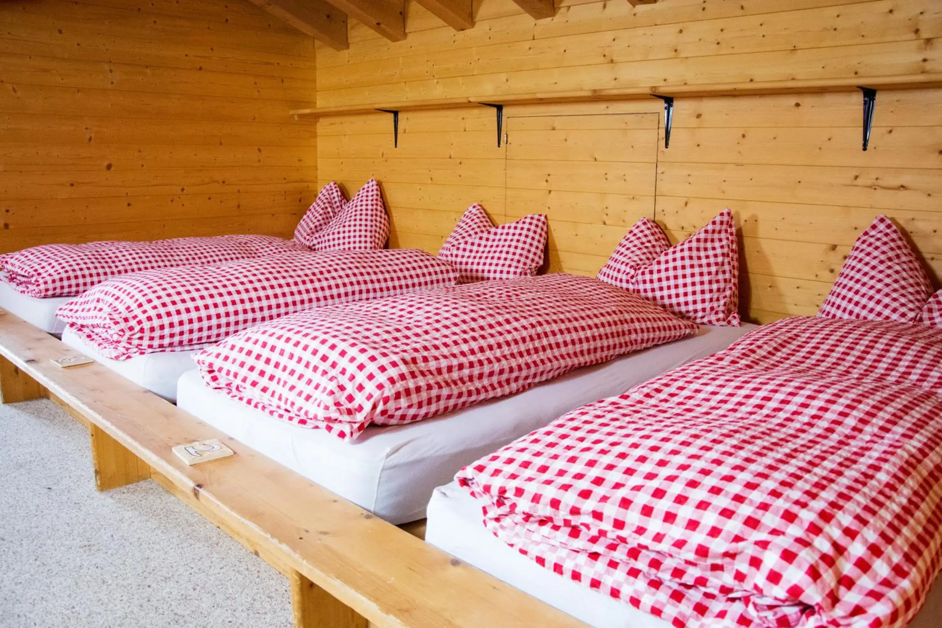 Single Bed in Dormitory Room in Berggasthaus First - Only Accessible by Cable Car Single Bed in Dormitory Room in Berggasthaus First - Only Accessible by Cable Car