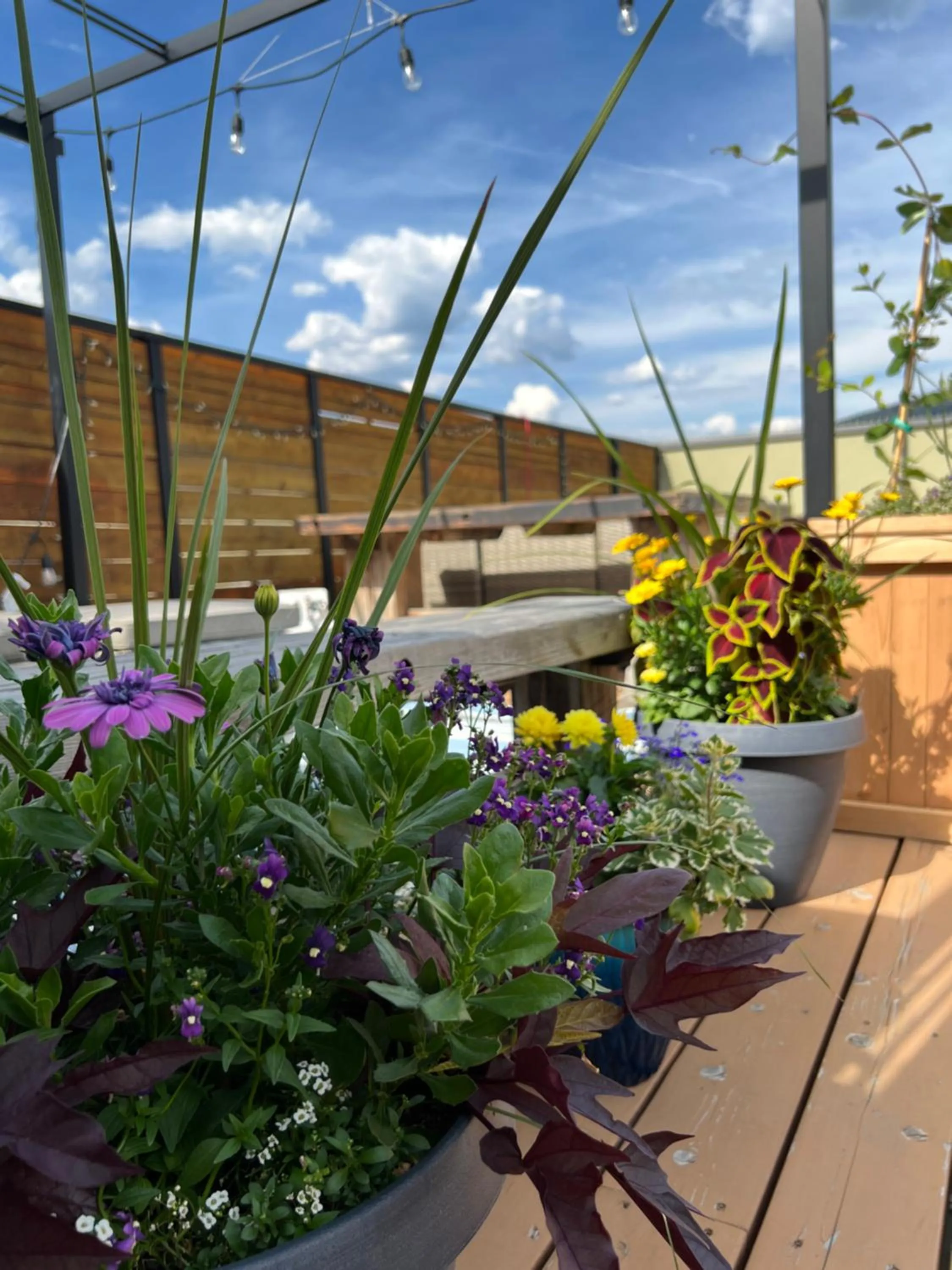 Patio in Savoy Hotel