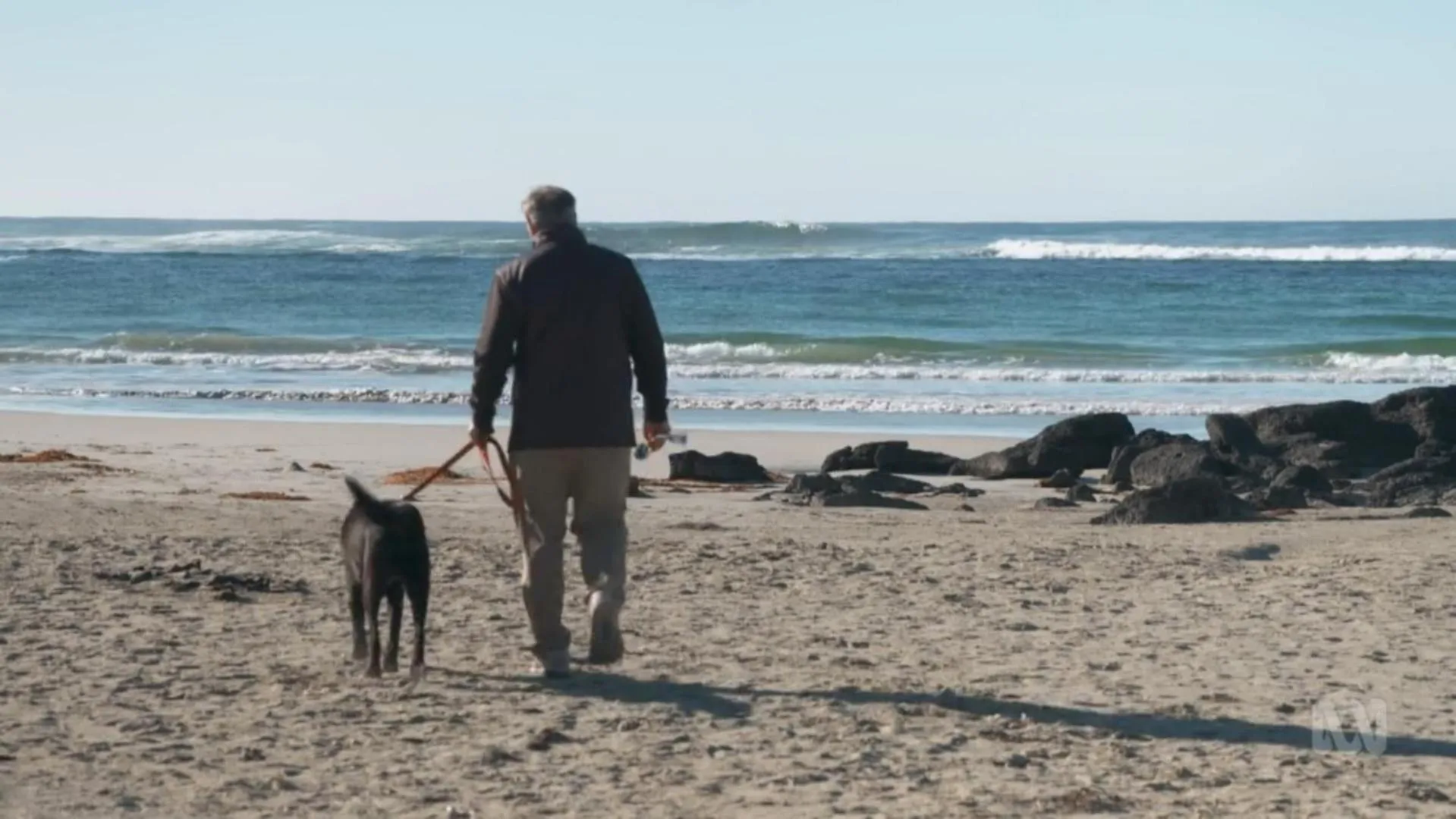 Pets in The Wandering Whale Port Fairy