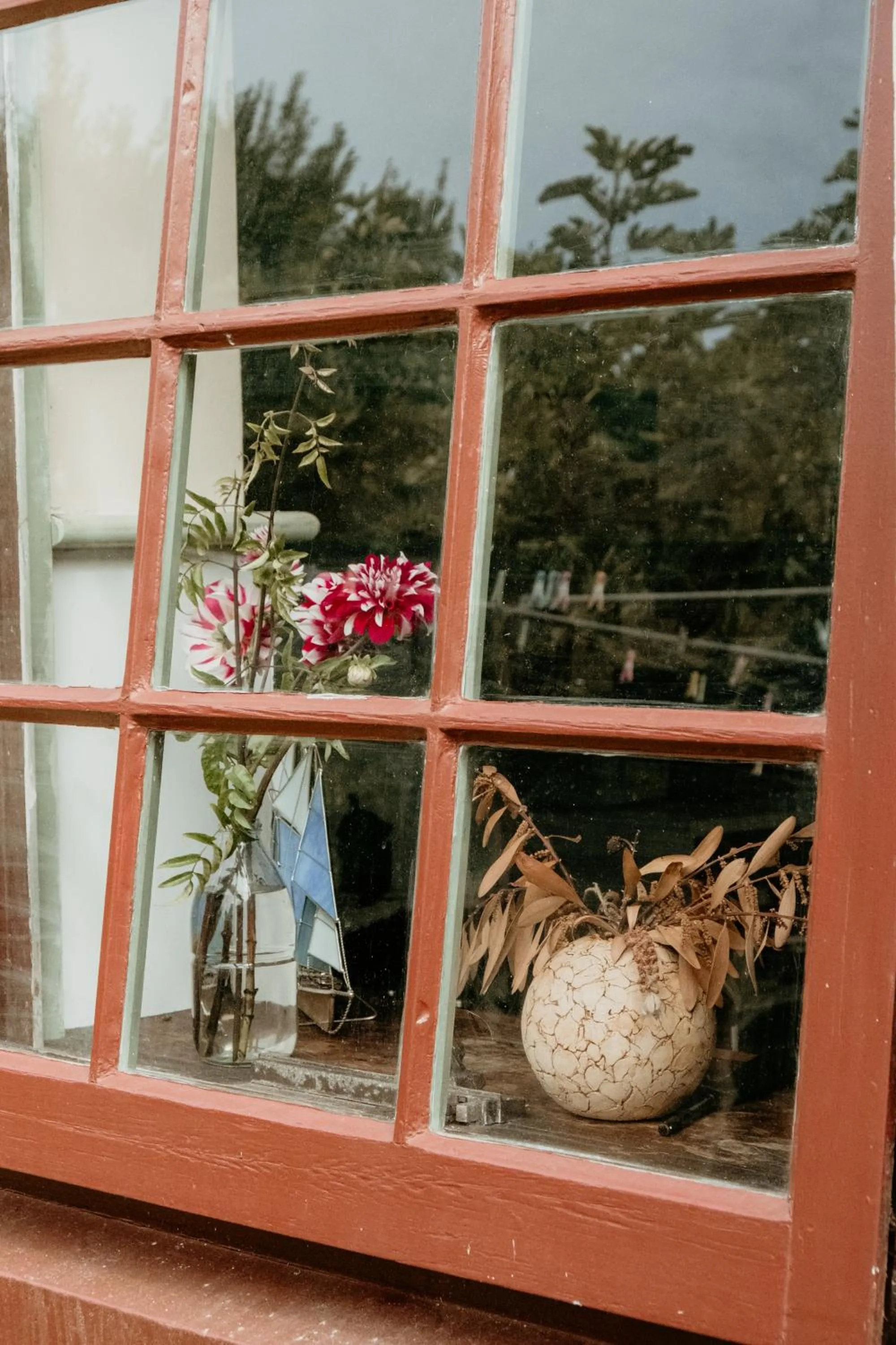 Day in The Wandering Whale Port Fairy