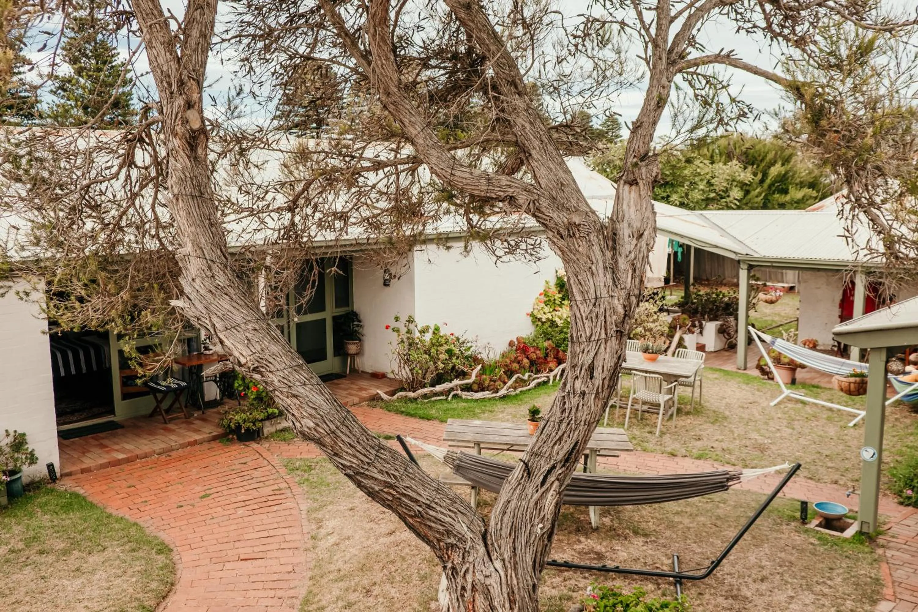 Garden in The Wandering Whale Port Fairy