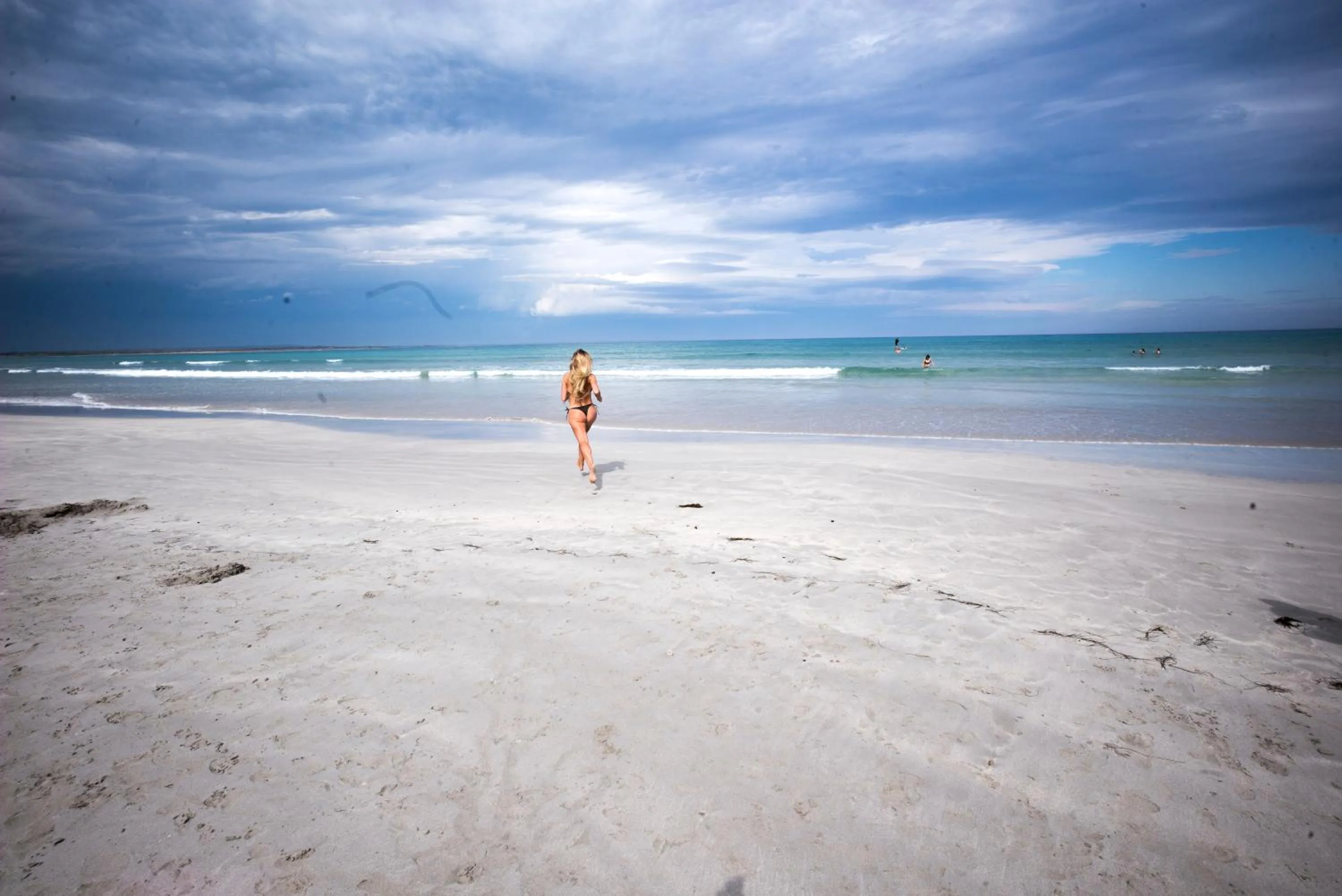 Nearby landmark in The Wandering Whale Port Fairy