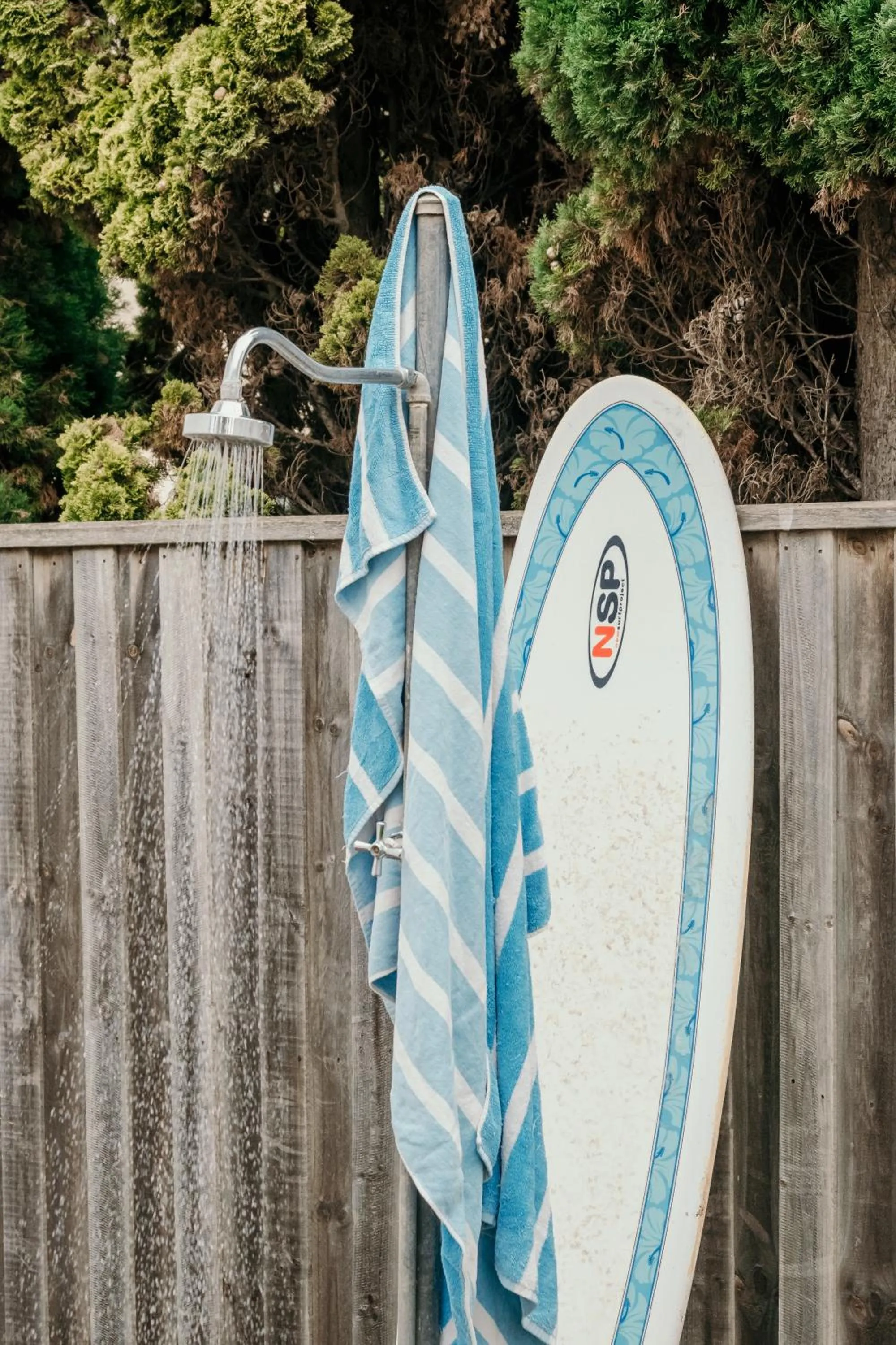 Garden in The Wandering Whale Port Fairy