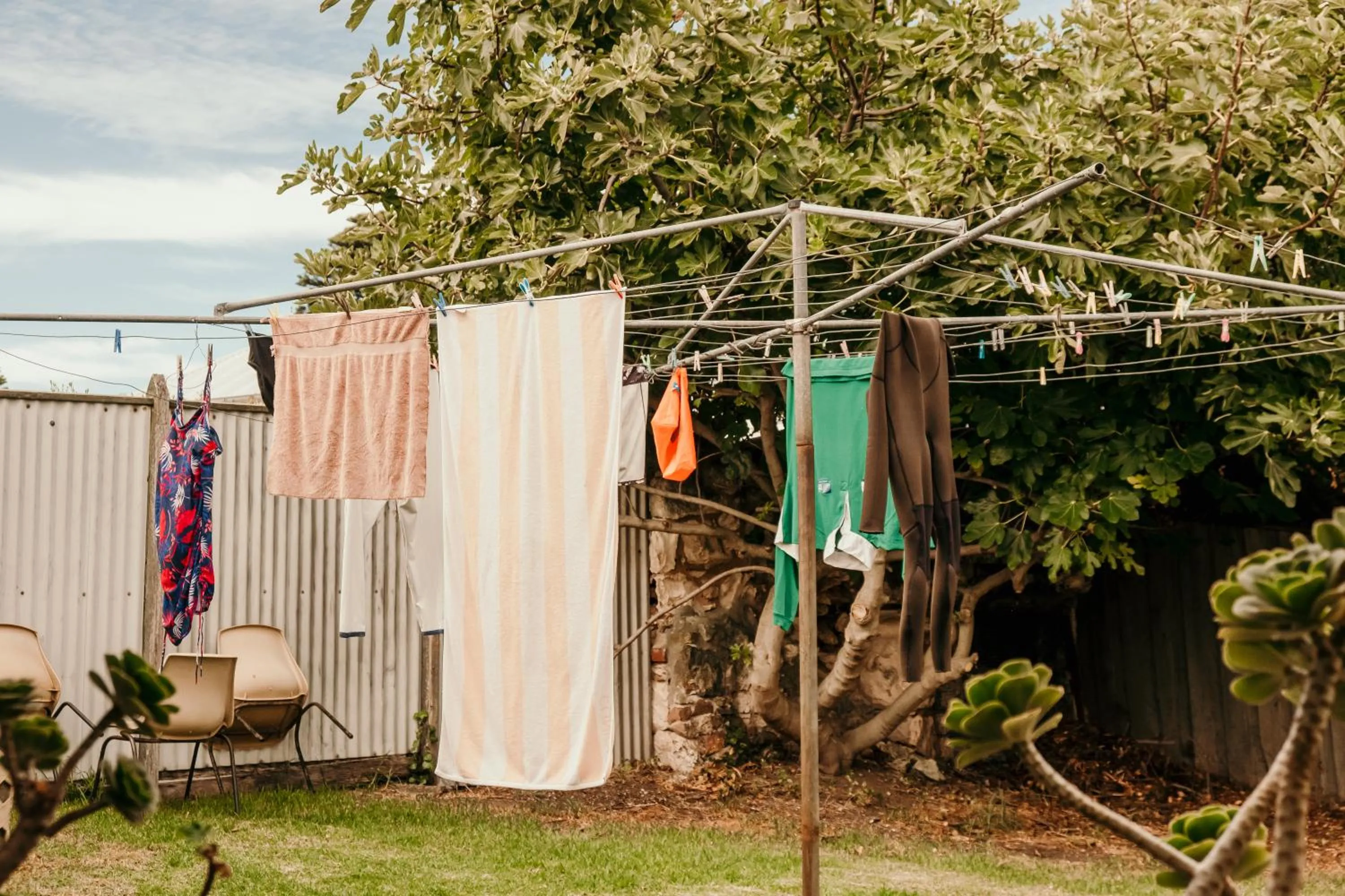 Garden view in The Wandering Whale Port Fairy