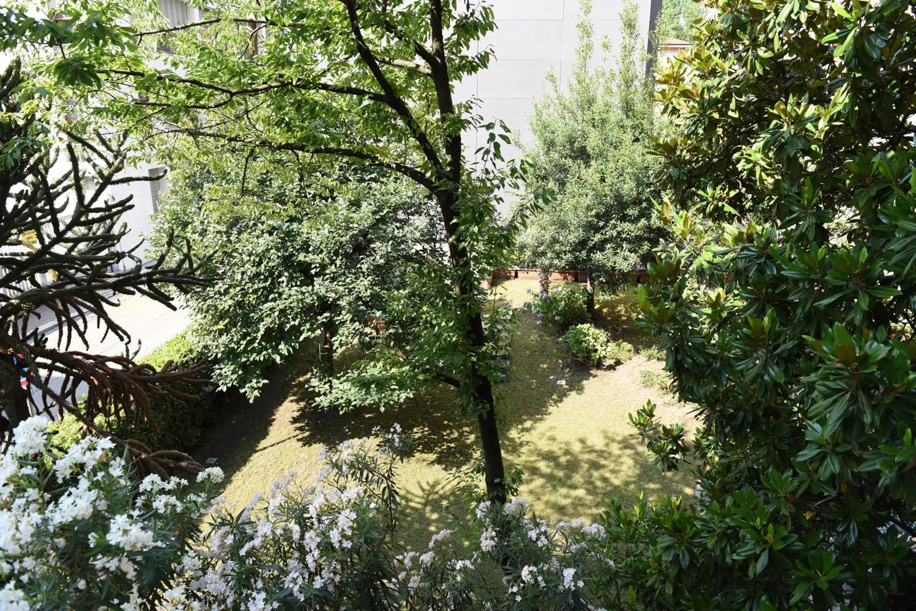 Garden in Le Rondinelle
