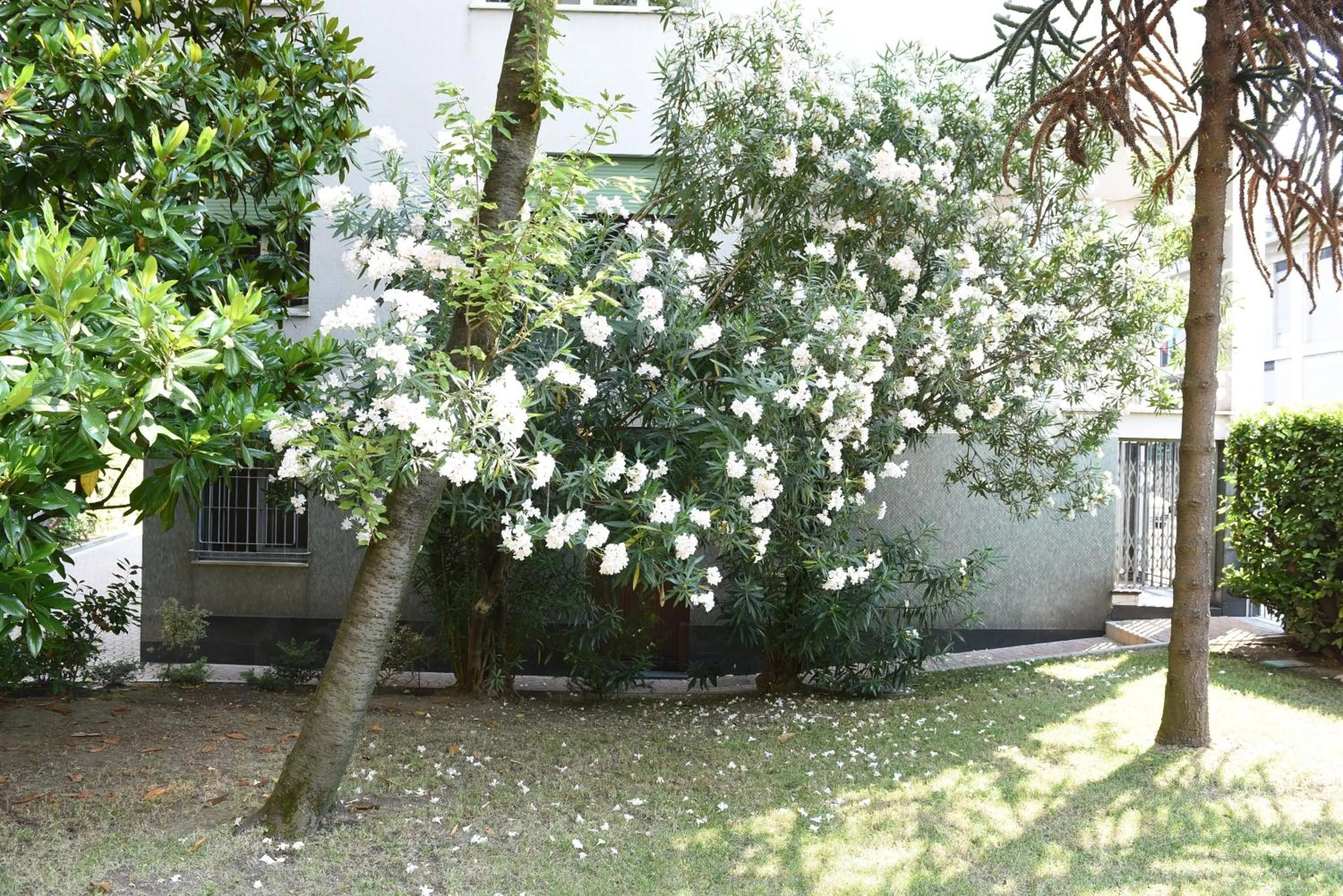 Garden in Le Rondinelle