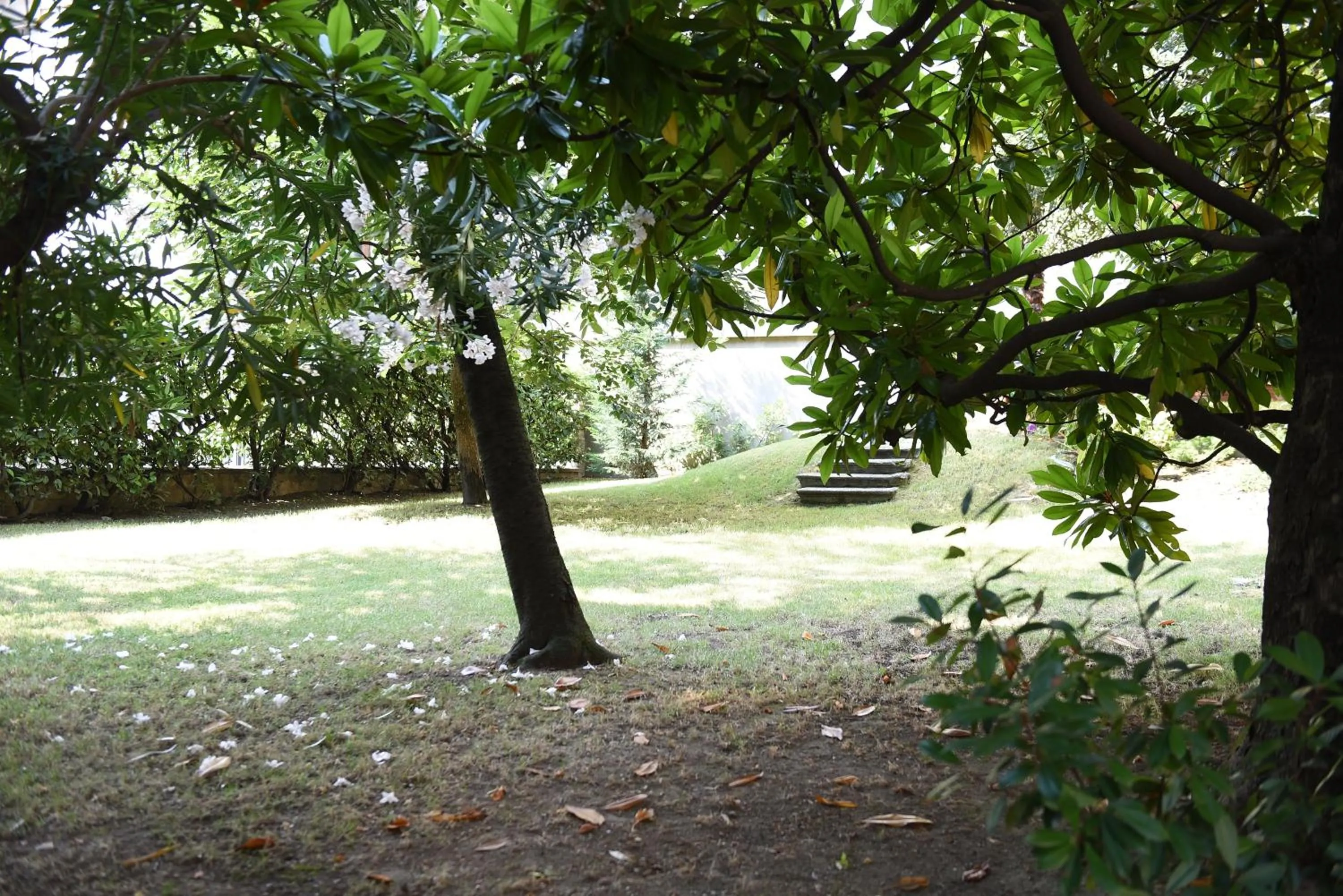 Garden in Le Rondinelle