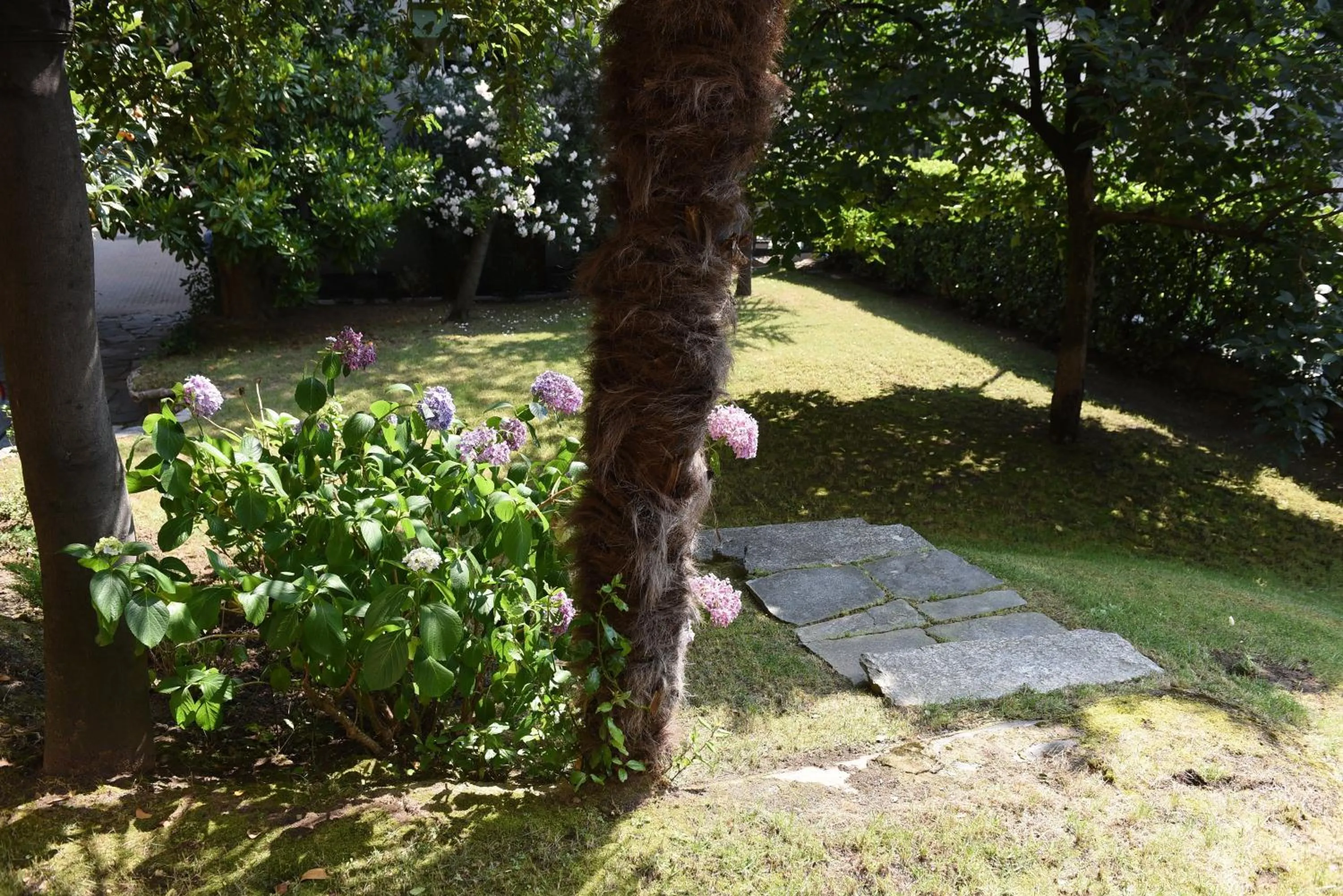 Garden in Le Rondinelle