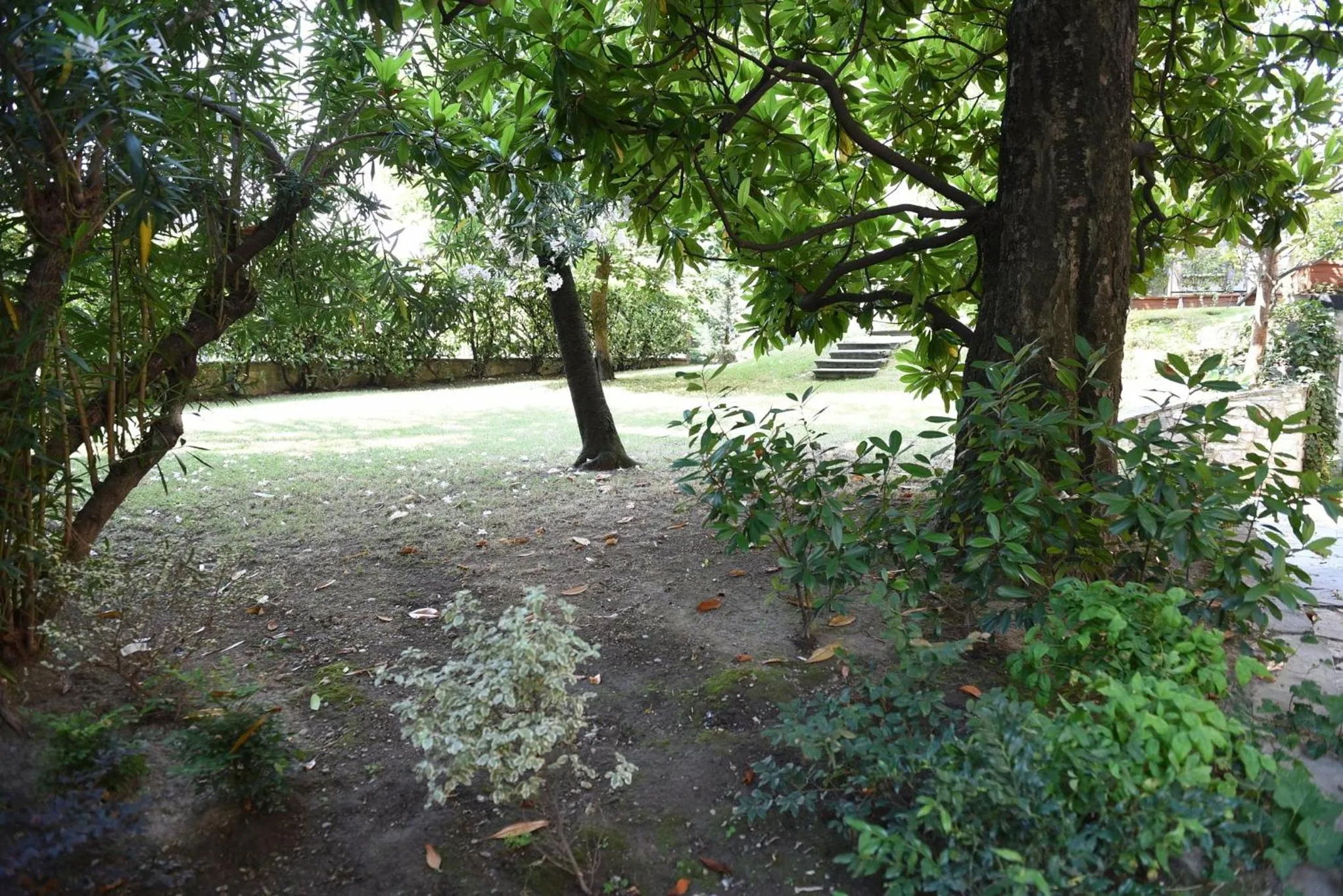 Spring in Le Rondinelle