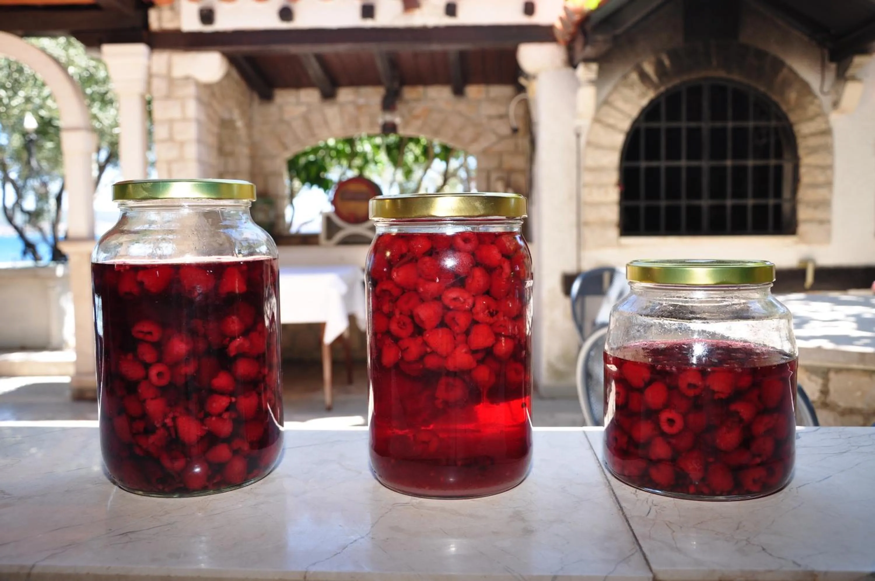 Alcoholic drinks in Villa Segetski dvori - Tradition since 1964