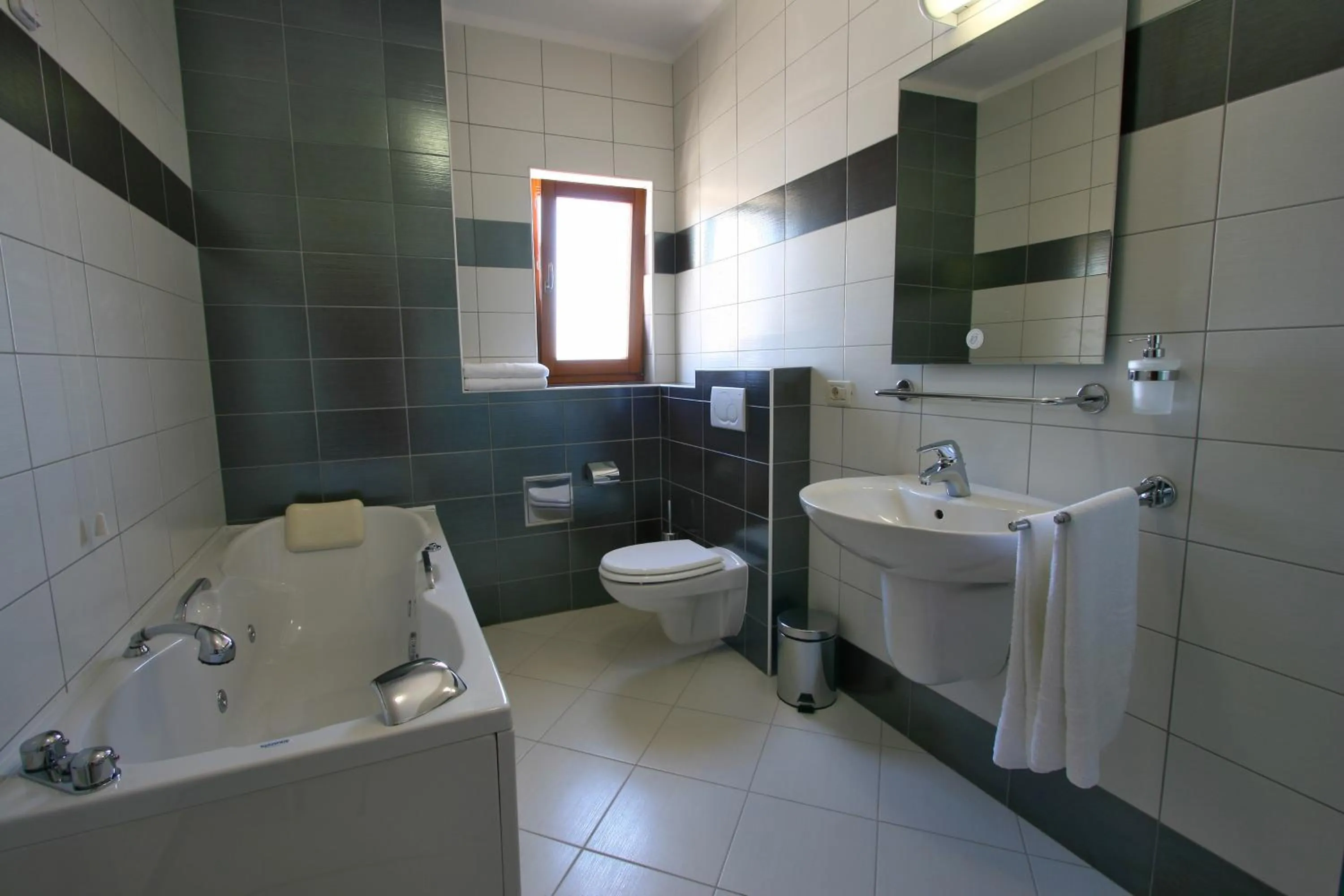 Shower in Villa Segetski dvori - Tradition since 1964