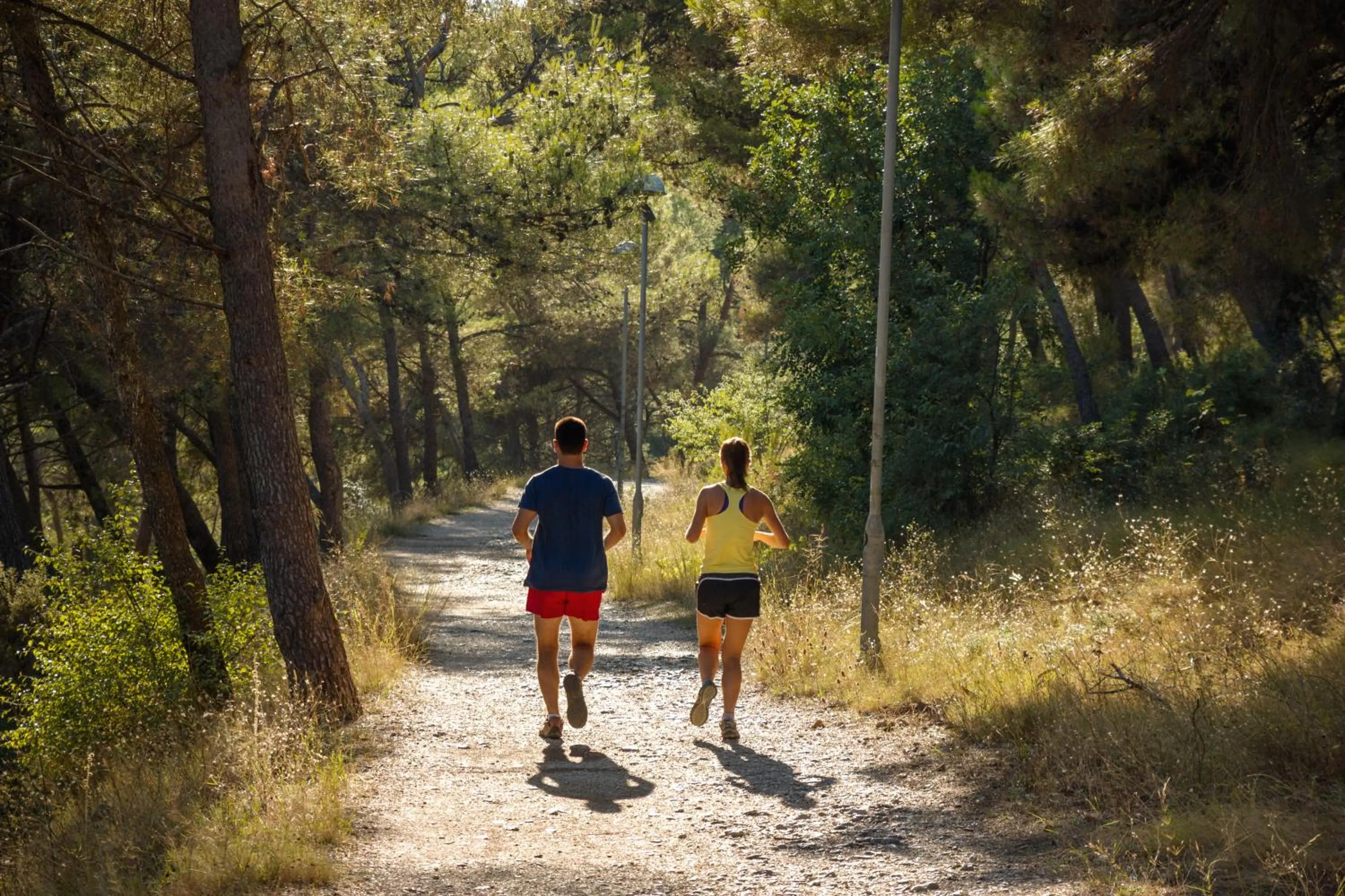 Activities in Villa Segetski dvori - Tradition since 1964