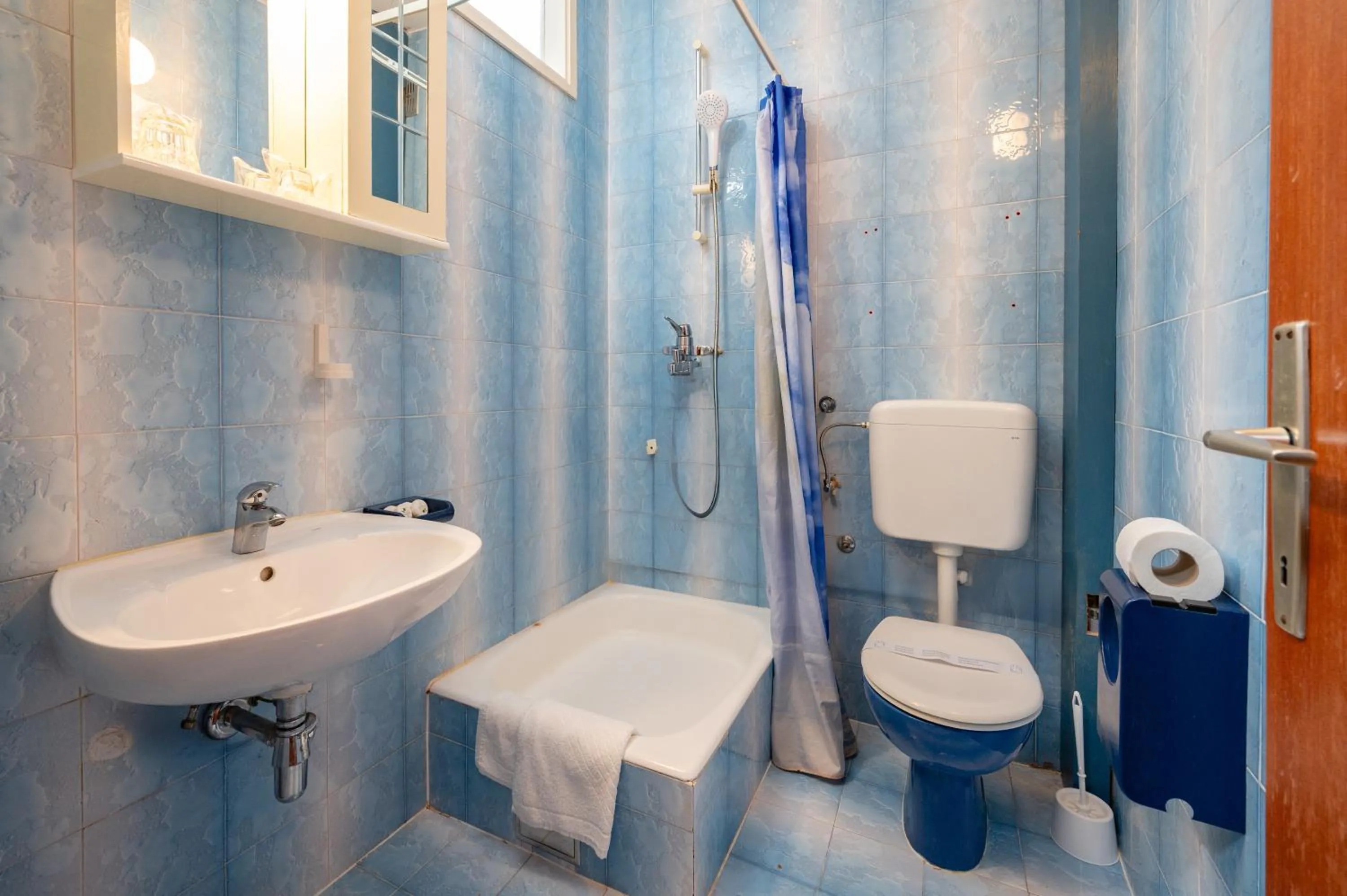 Toilet in Villa Segetski dvori - Tradition since 1964