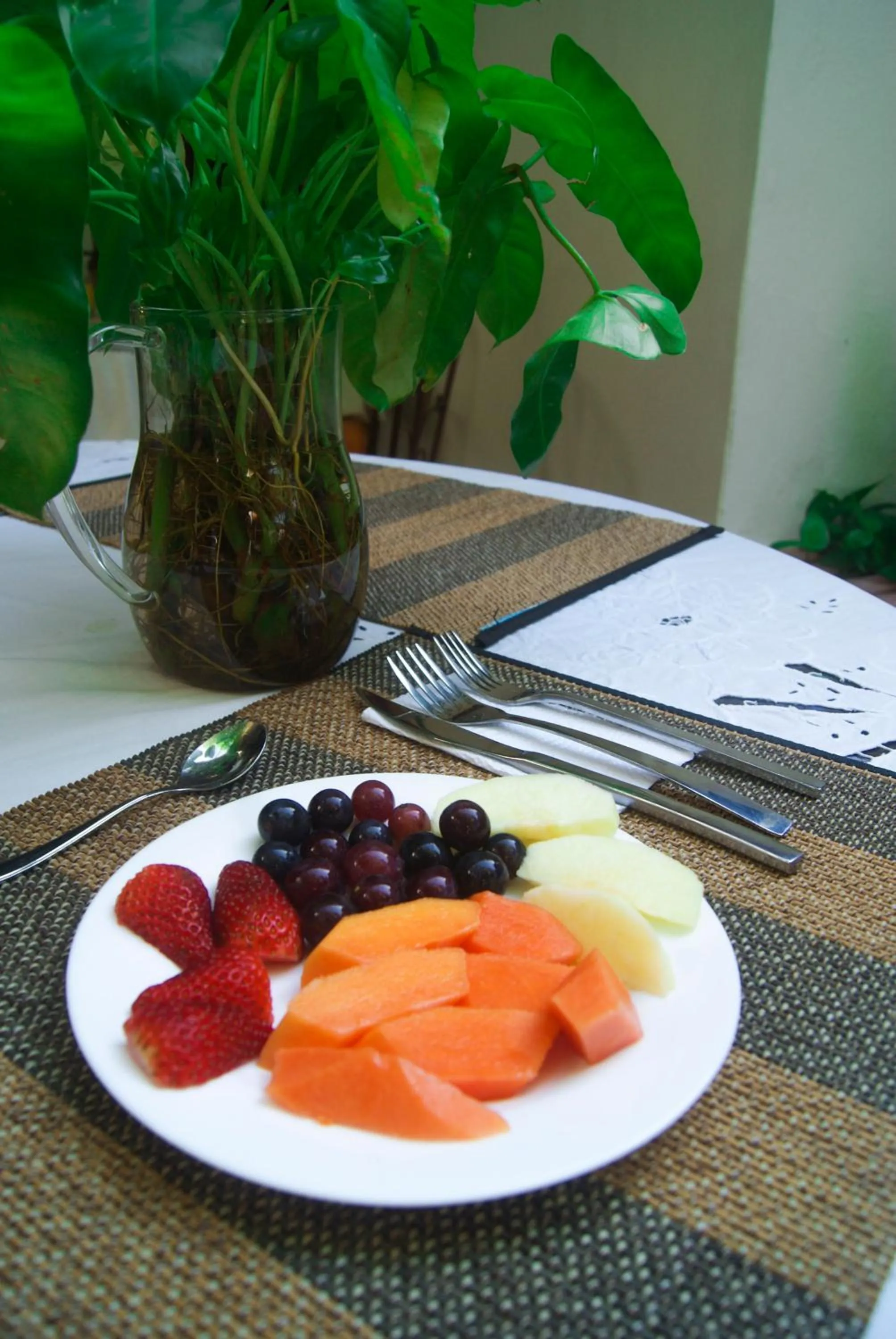 Garden in Hotel Casa Colonial