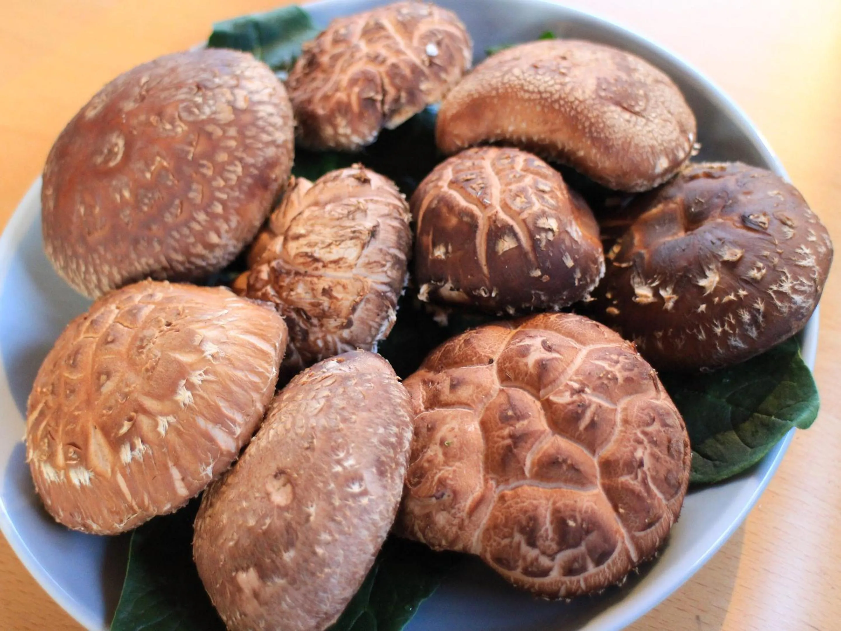 Food close-up in Lodge Kiyokawa