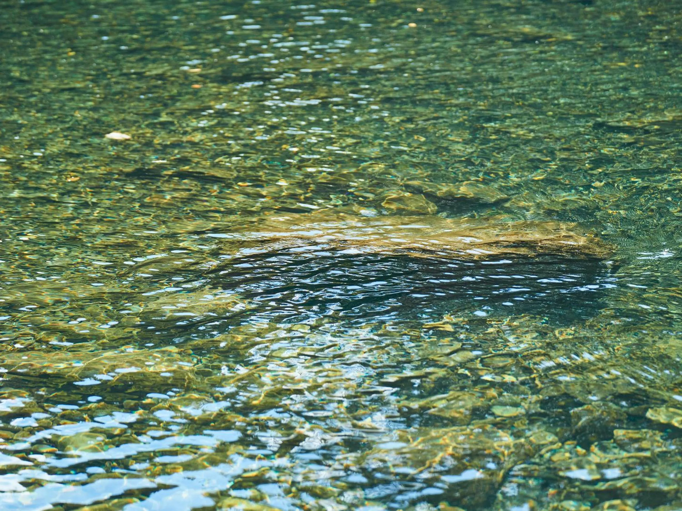 Other in Lodge Kiyokawa