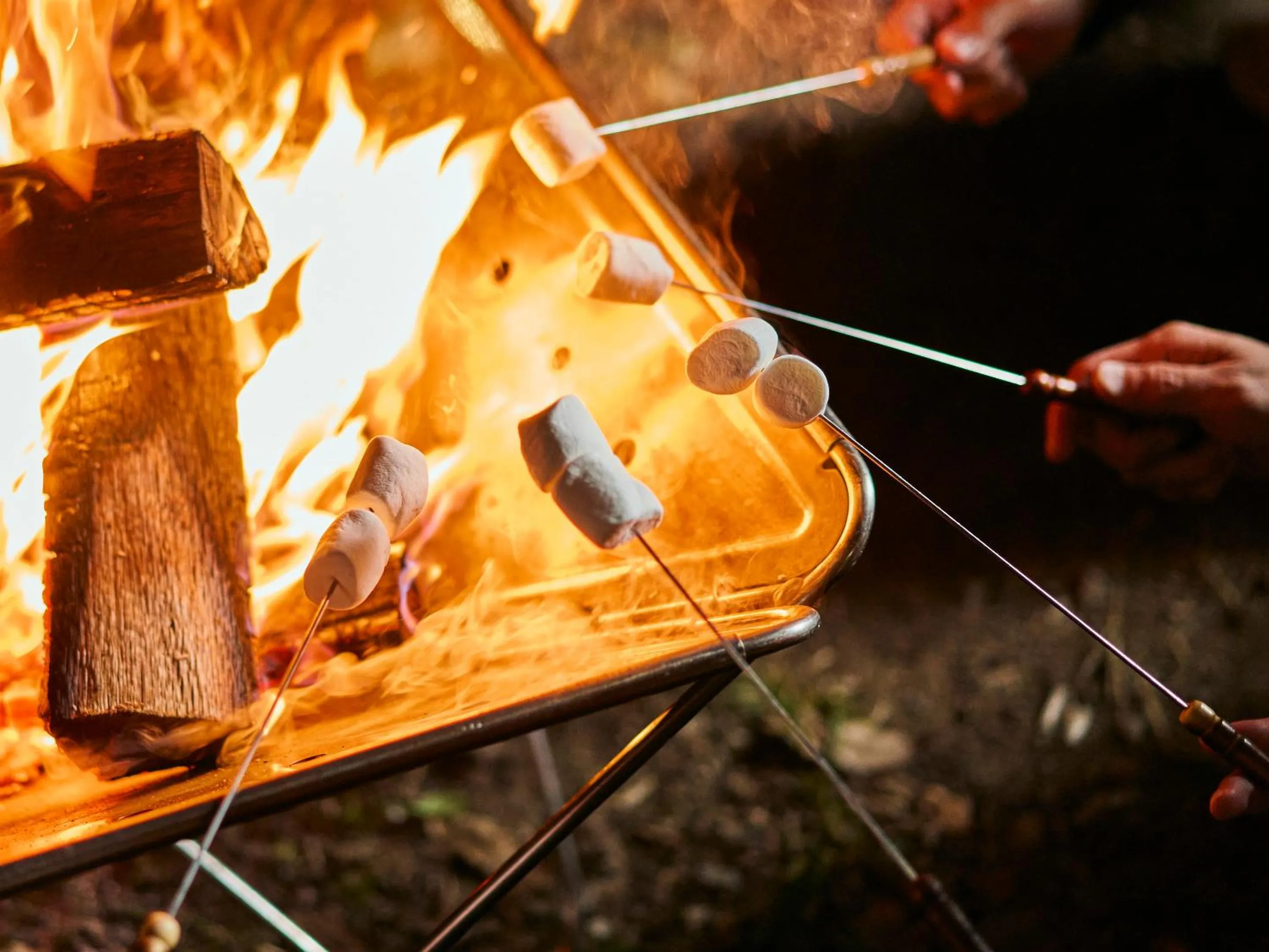 Other in Lodge Kiyokawa