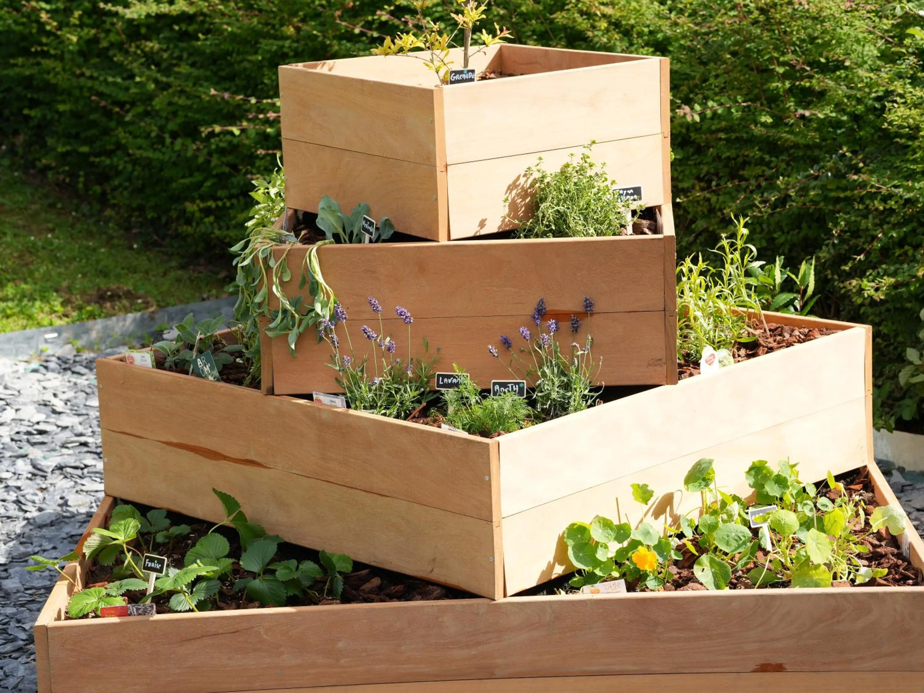 Garden in ibis Caen Porte De Bretagne