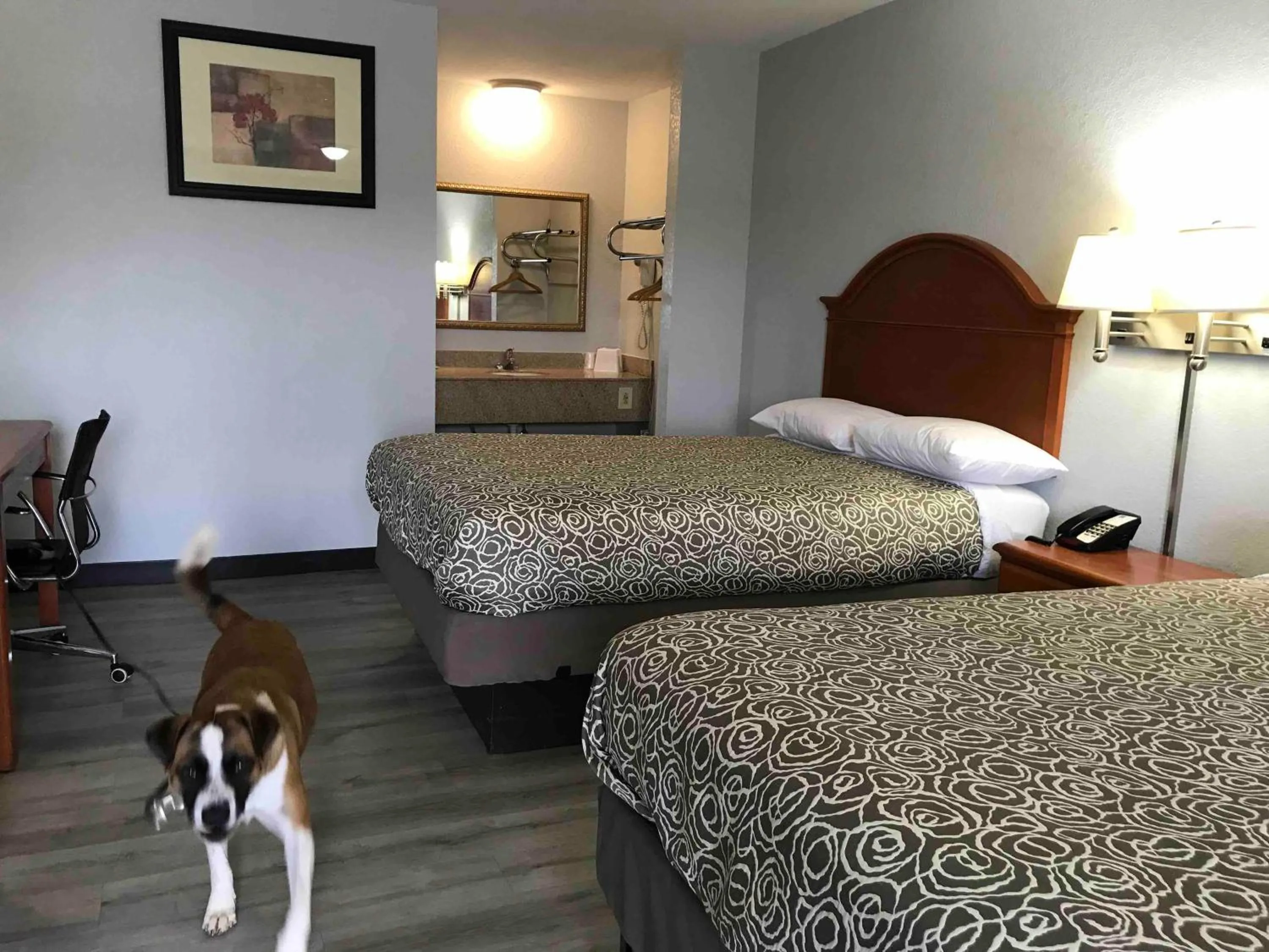 Pets in Walnut Inn - Checotah