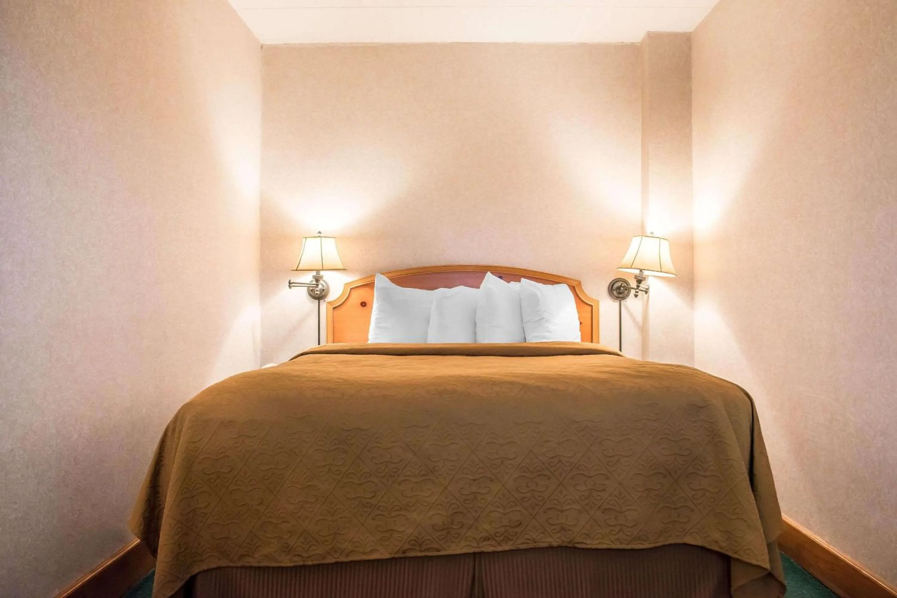 Photo of the whole room, Bed in Quality Inn Pittsburgh Airport